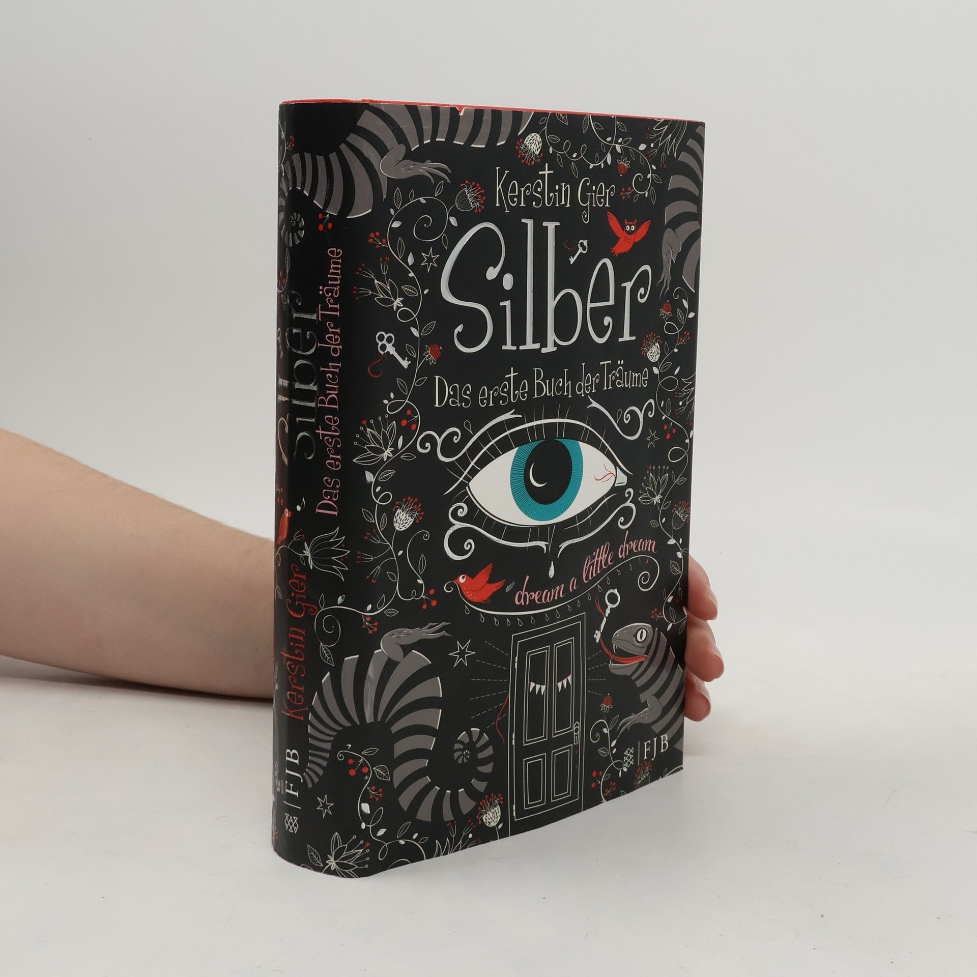 Kerstin Gier Silber. Das erste Buch der Träume