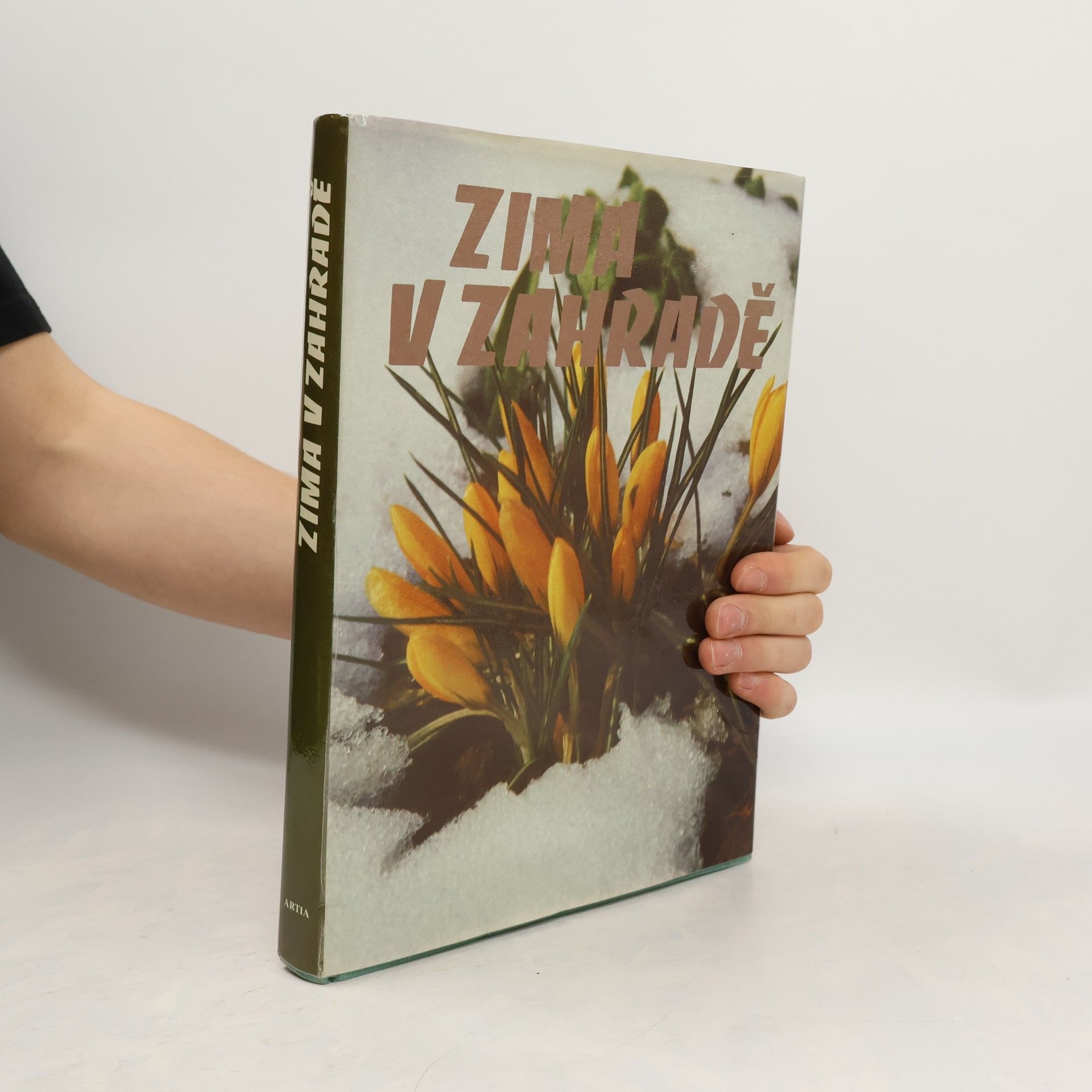 Kolektiv autorů Zima v zahradě