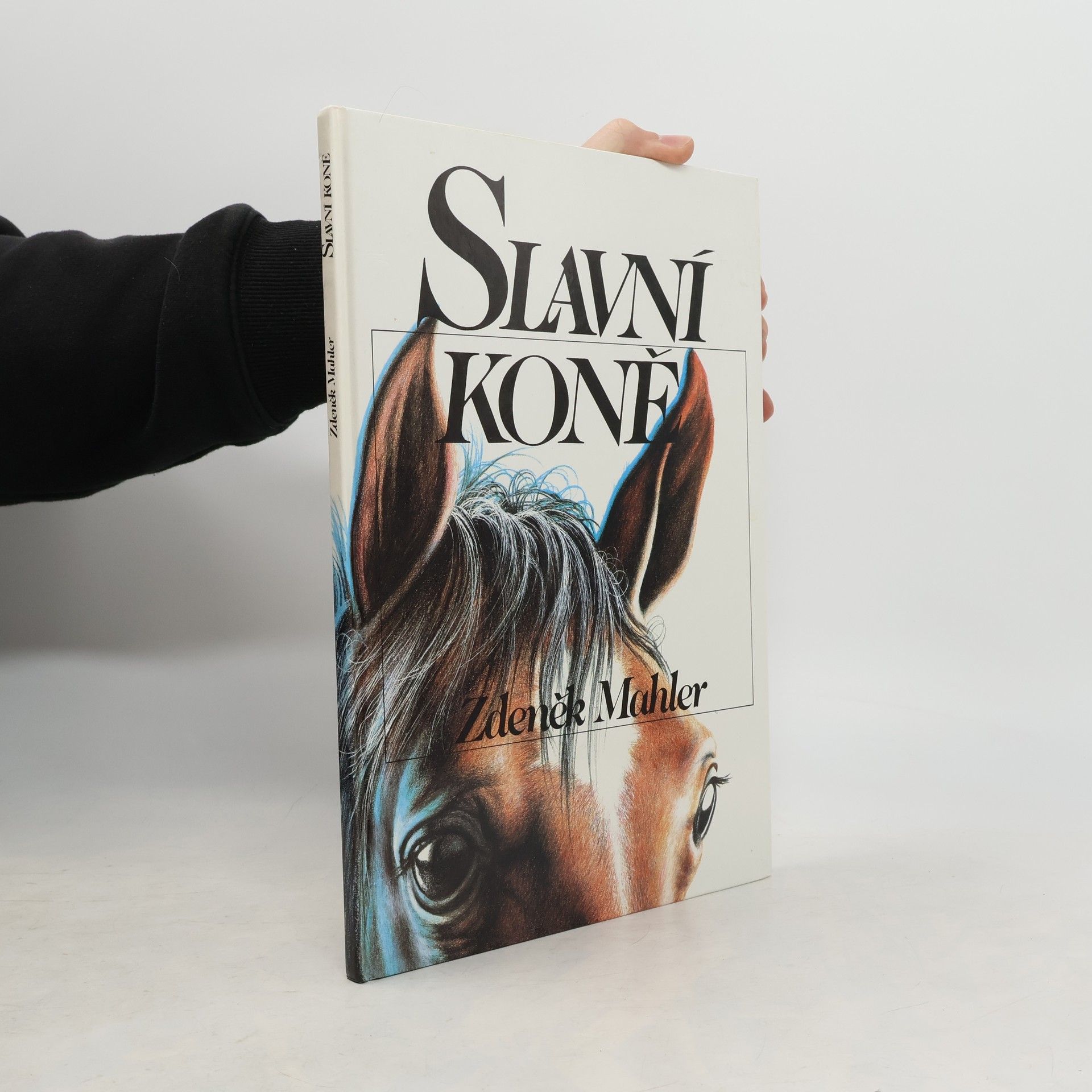 Zdeněk Mahler Slavní koně