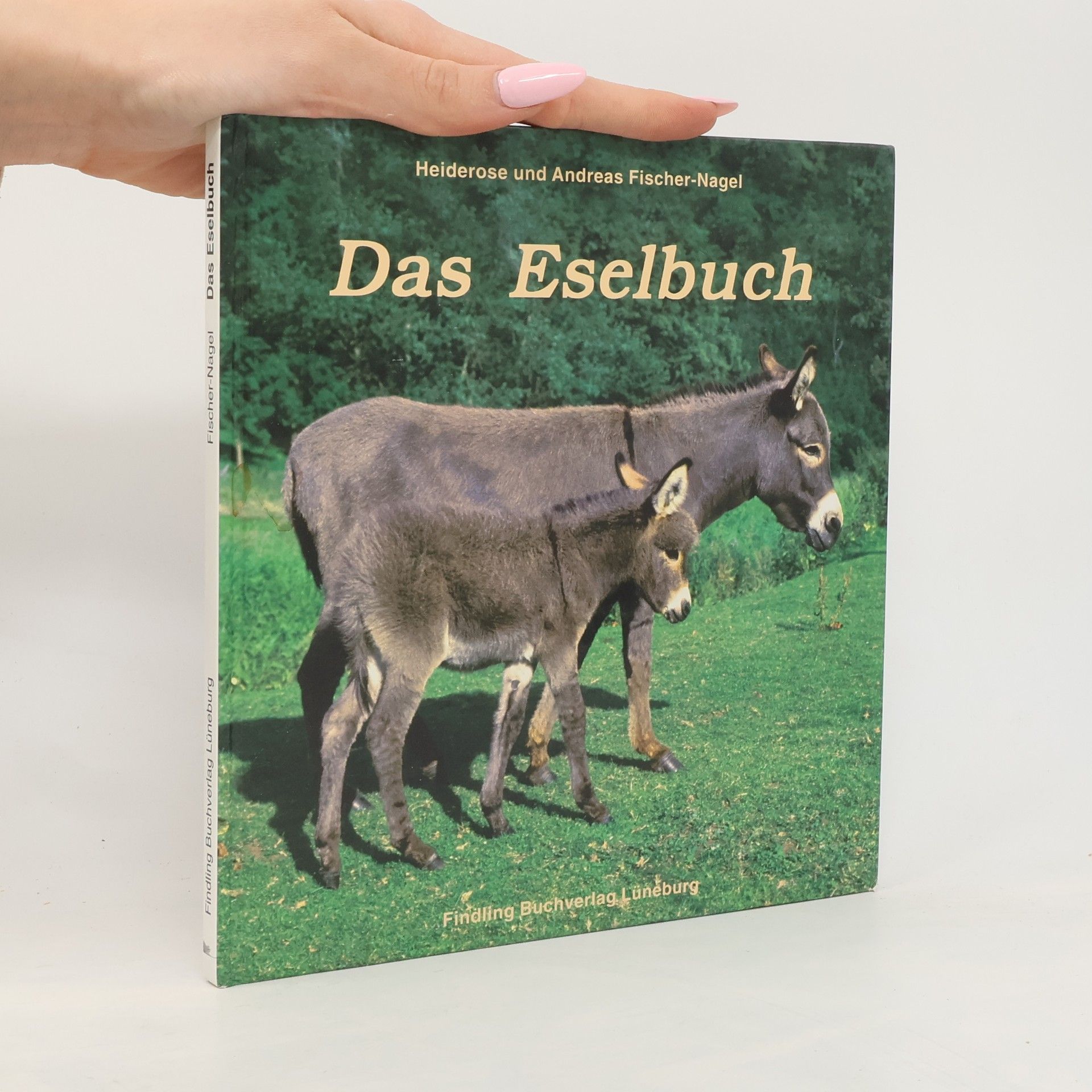 Heiderose Fischer-Nagel Das Eselbuch