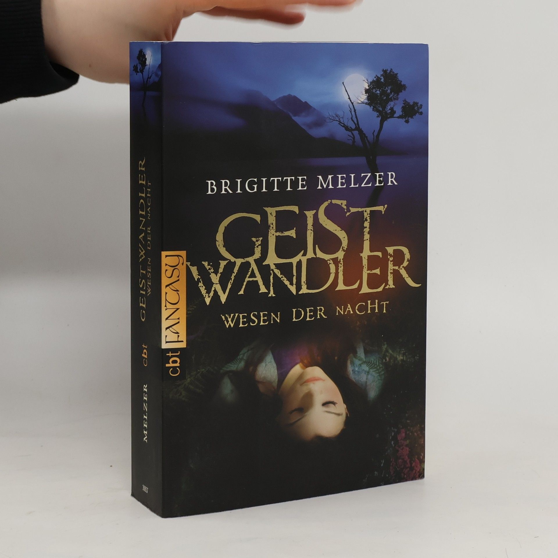 Brigitte Melzer Wesen der Nacht - Geistwandler