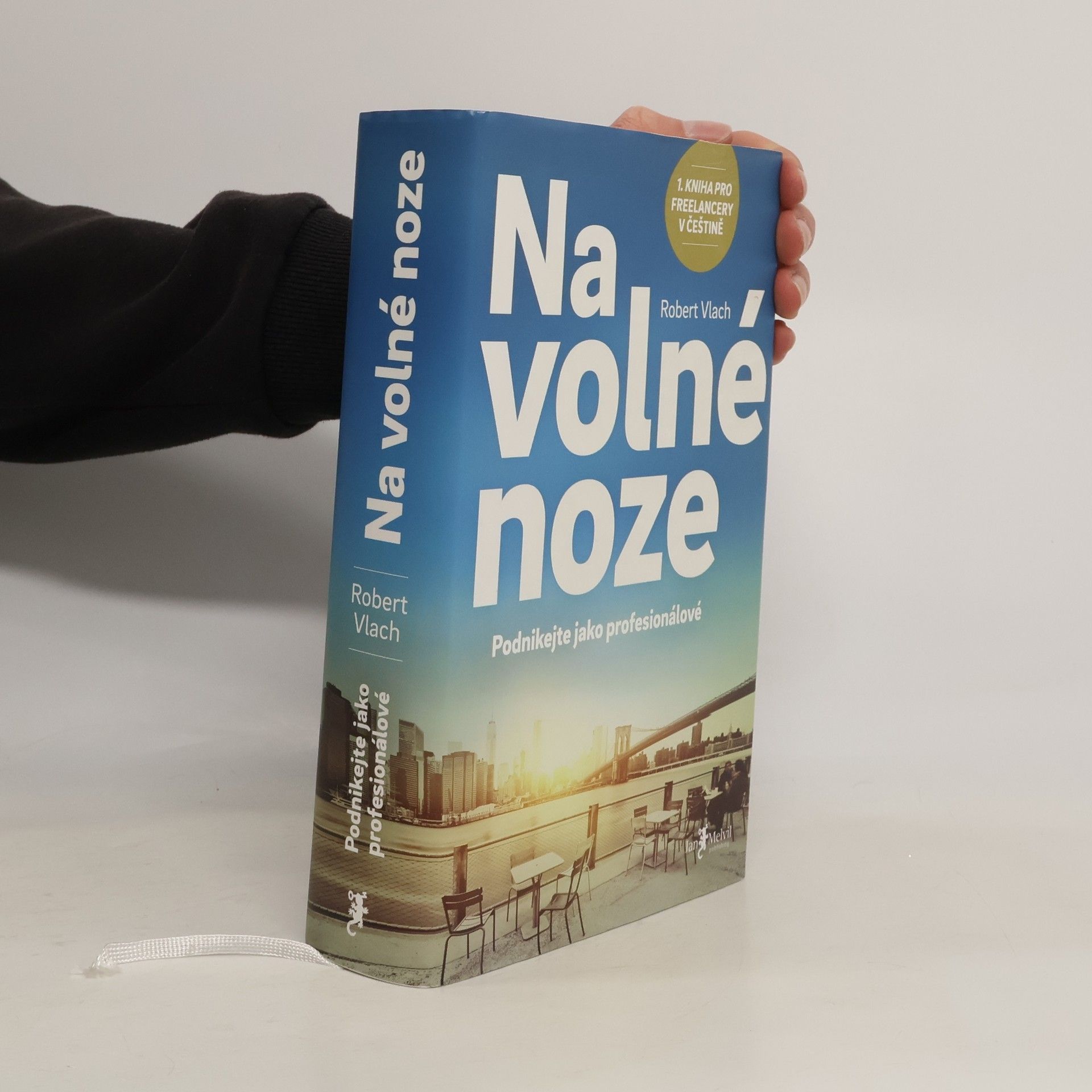Robert Vlach (podnikatel) Na volné noze