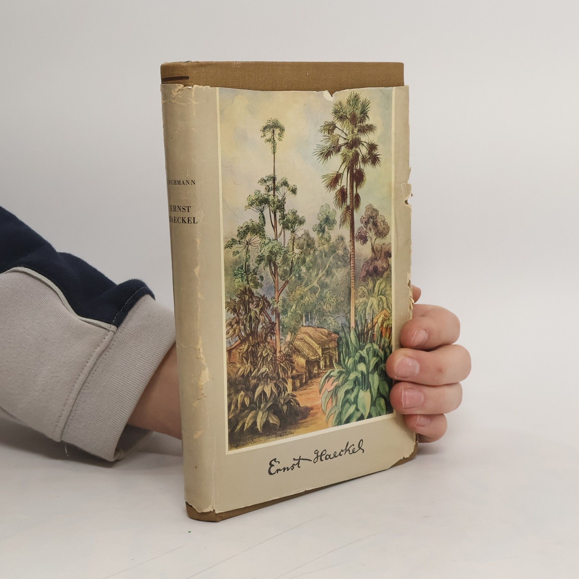 Georg Uschmann Ernst Haeckel: Forscher, Künstler, Mensch