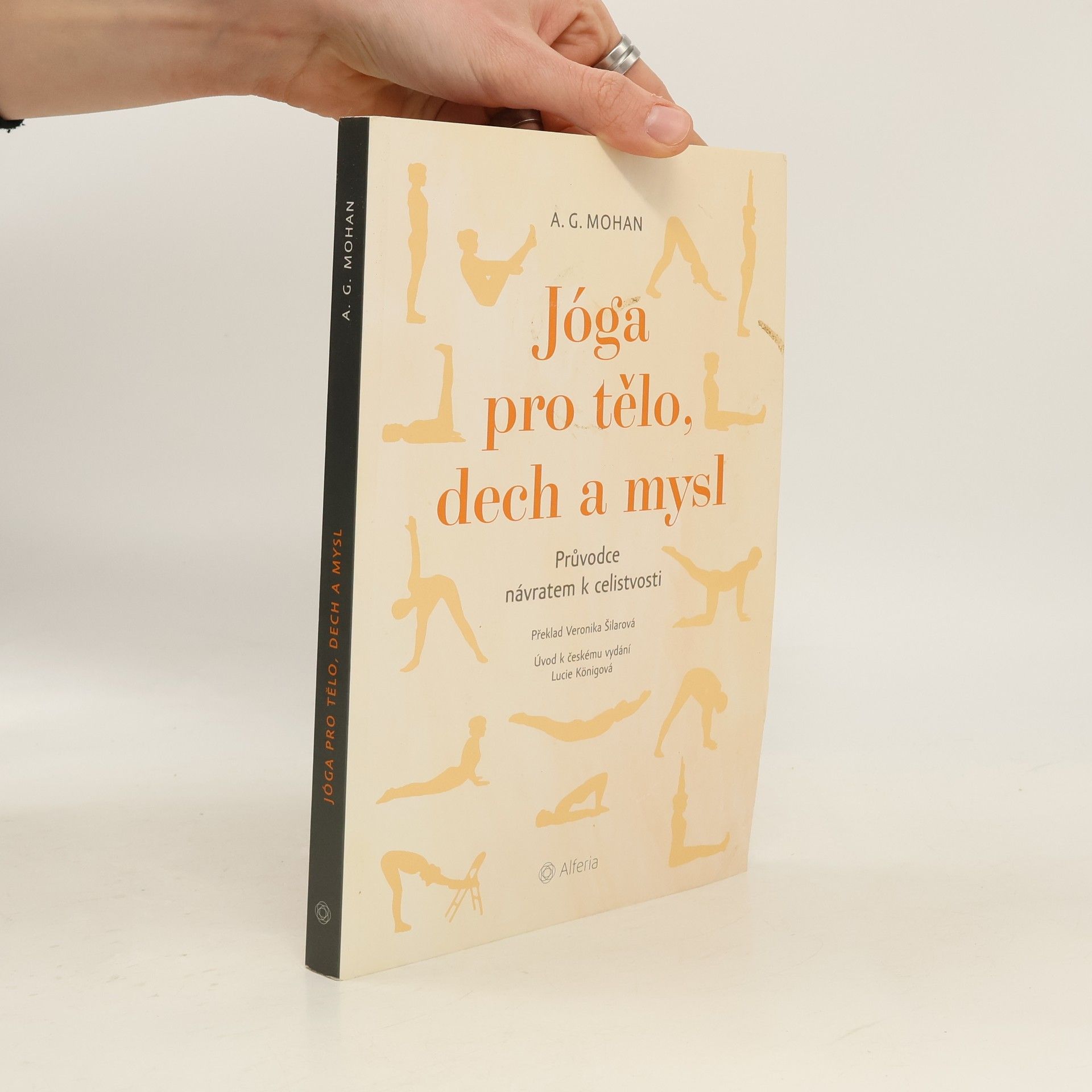 Jóga pro tělo, dech a mysl : průvodce návratem k celistvosti