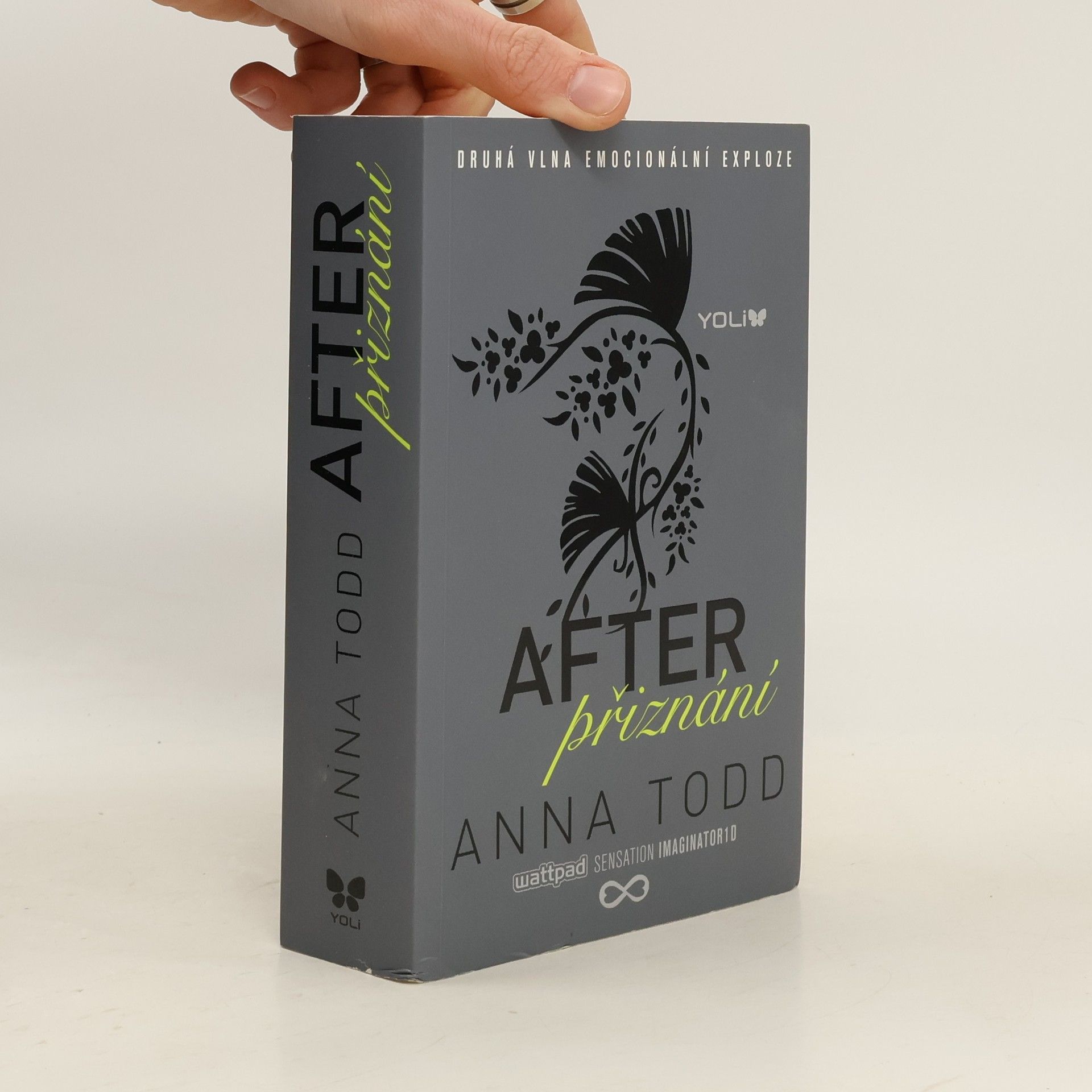 Anna Todd After. Přiznání