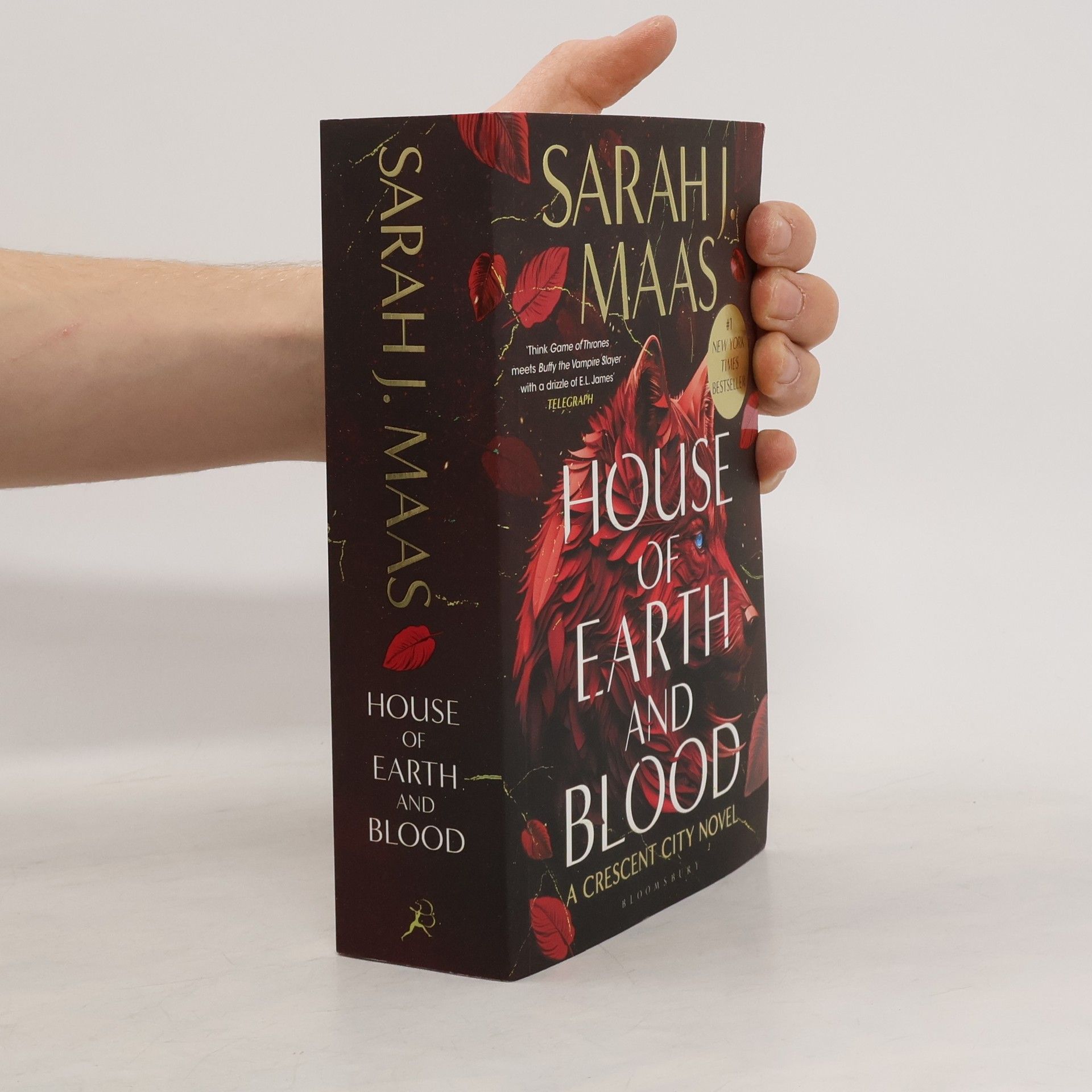 Sarah J. Maas House of Earth and Blood