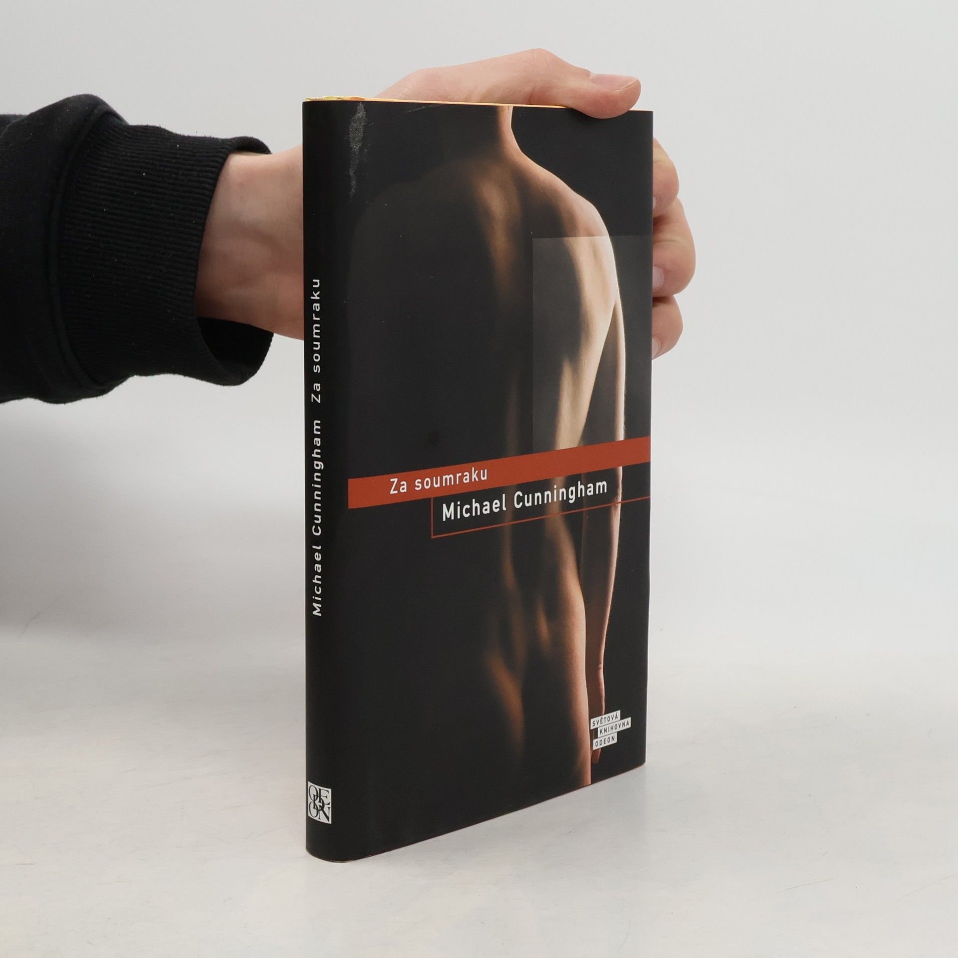 Michael Cunningham Za soumraku