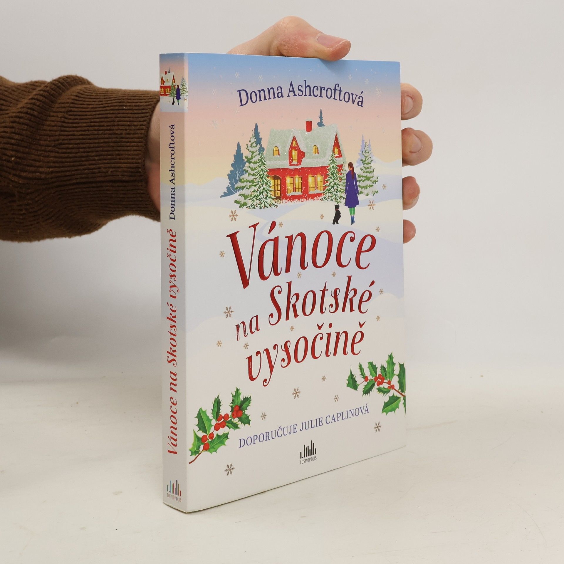 Donna Ashcroft Vánoce na Skotské vysočině