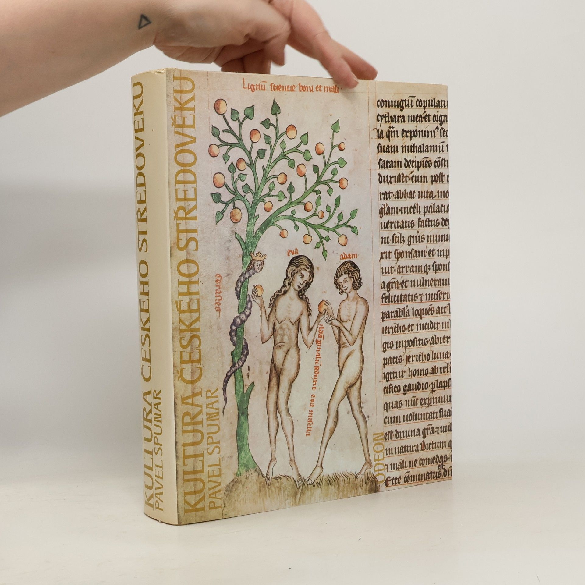 Pavel Spunar Kultura českého středověku