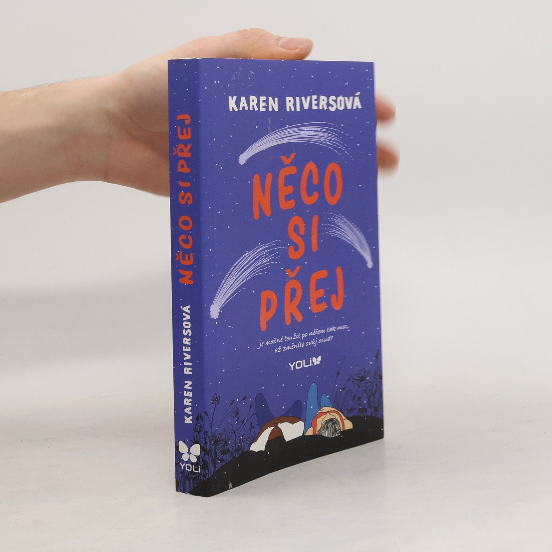 Karen Rivers Něco si přej