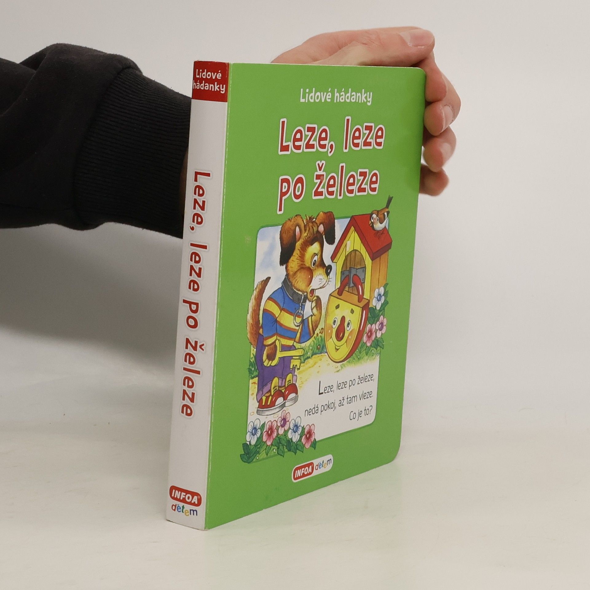 Collectif d'auteurs Leze, leze po železe : lidové hádanky