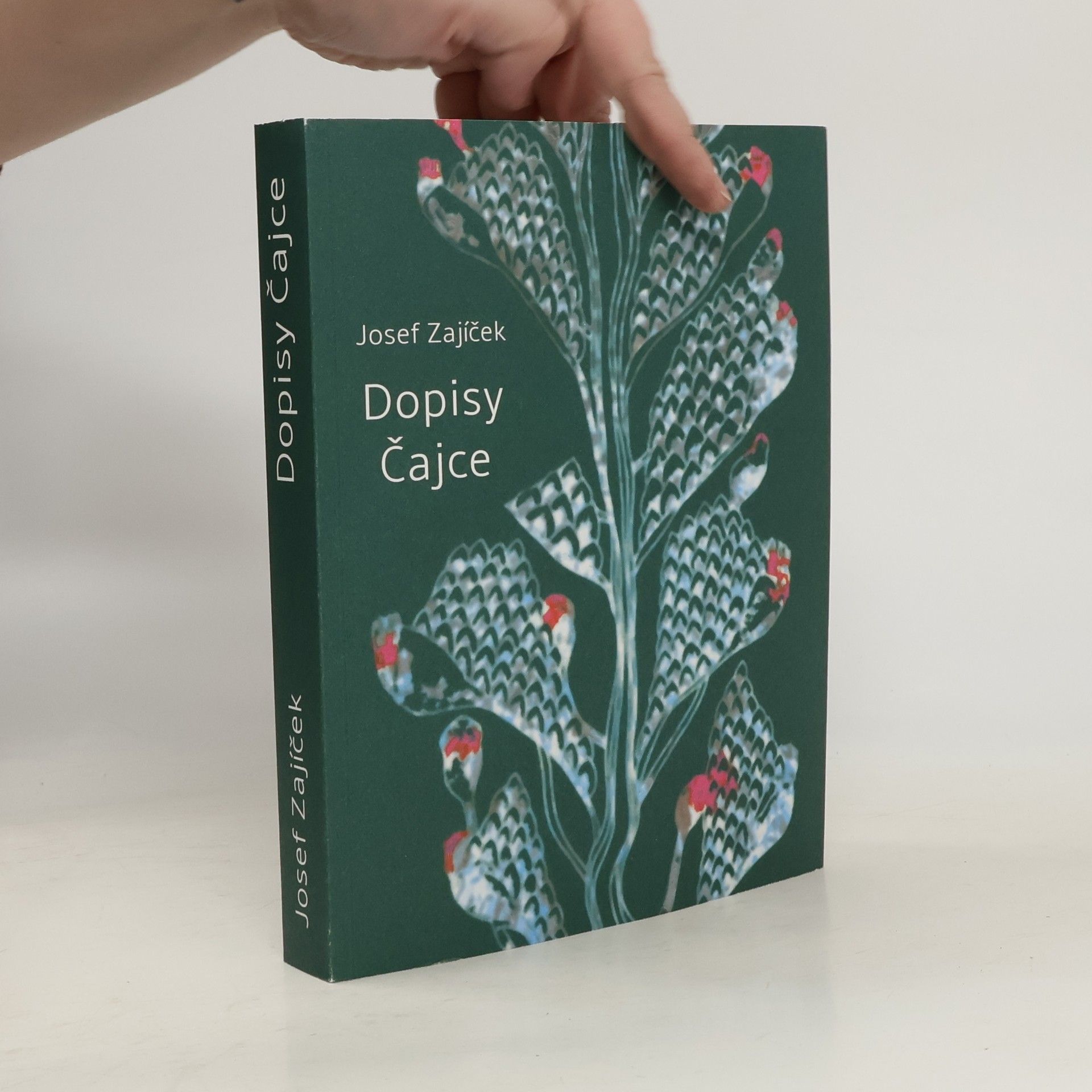 Josef Zajíček Dopisy Čajce