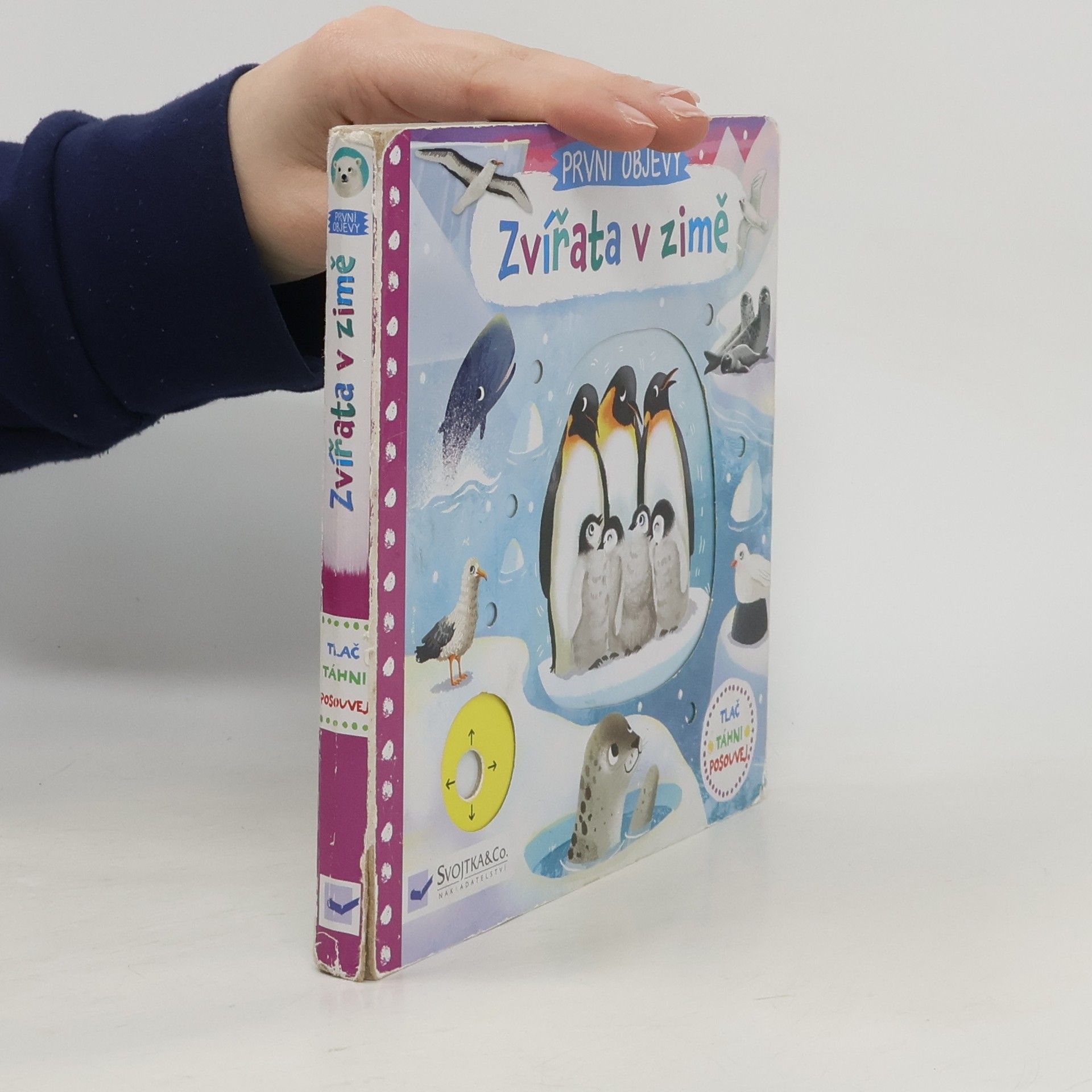 Jenny Wren První objevy: Zvířata v zimě