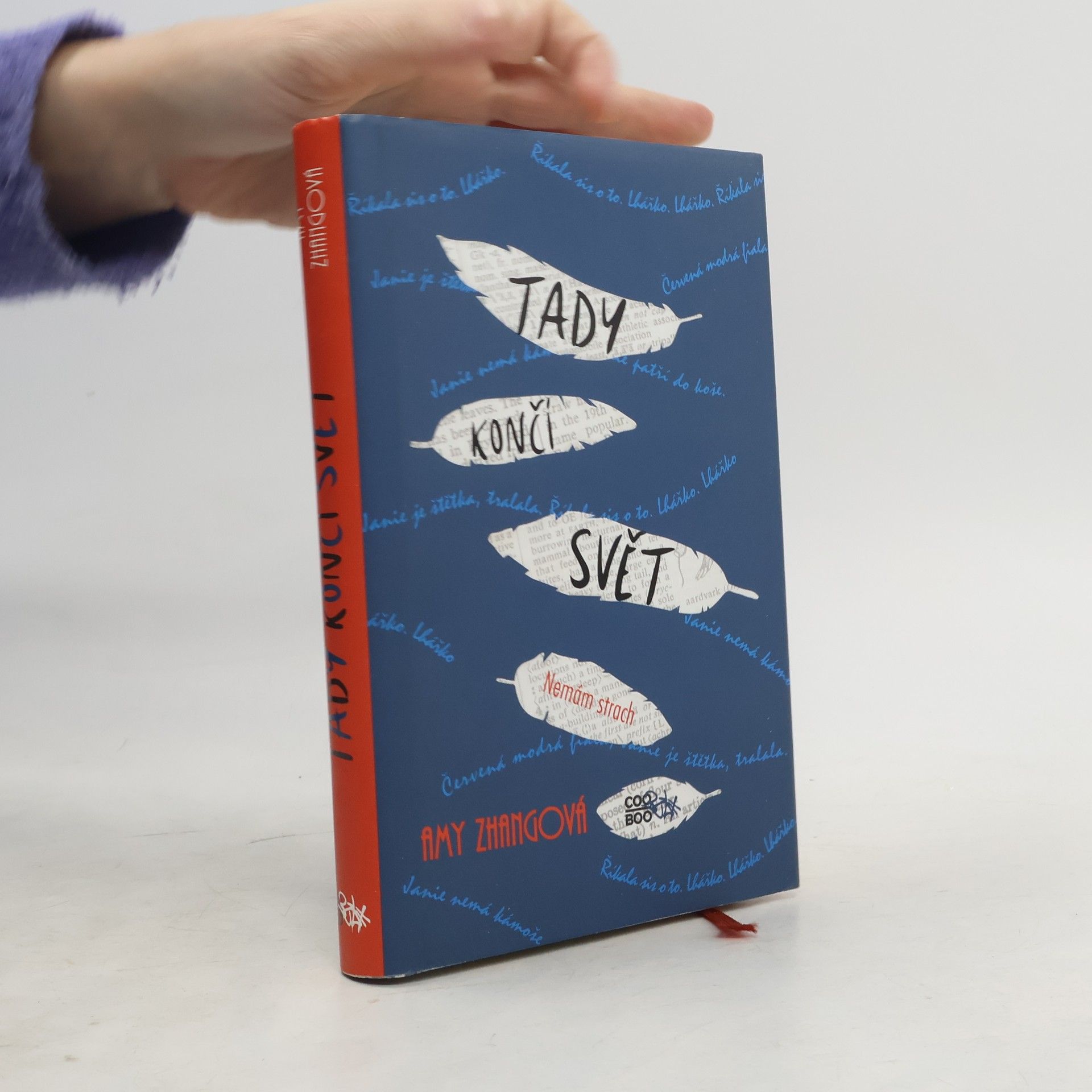 Amy Zhang Tady končí svět