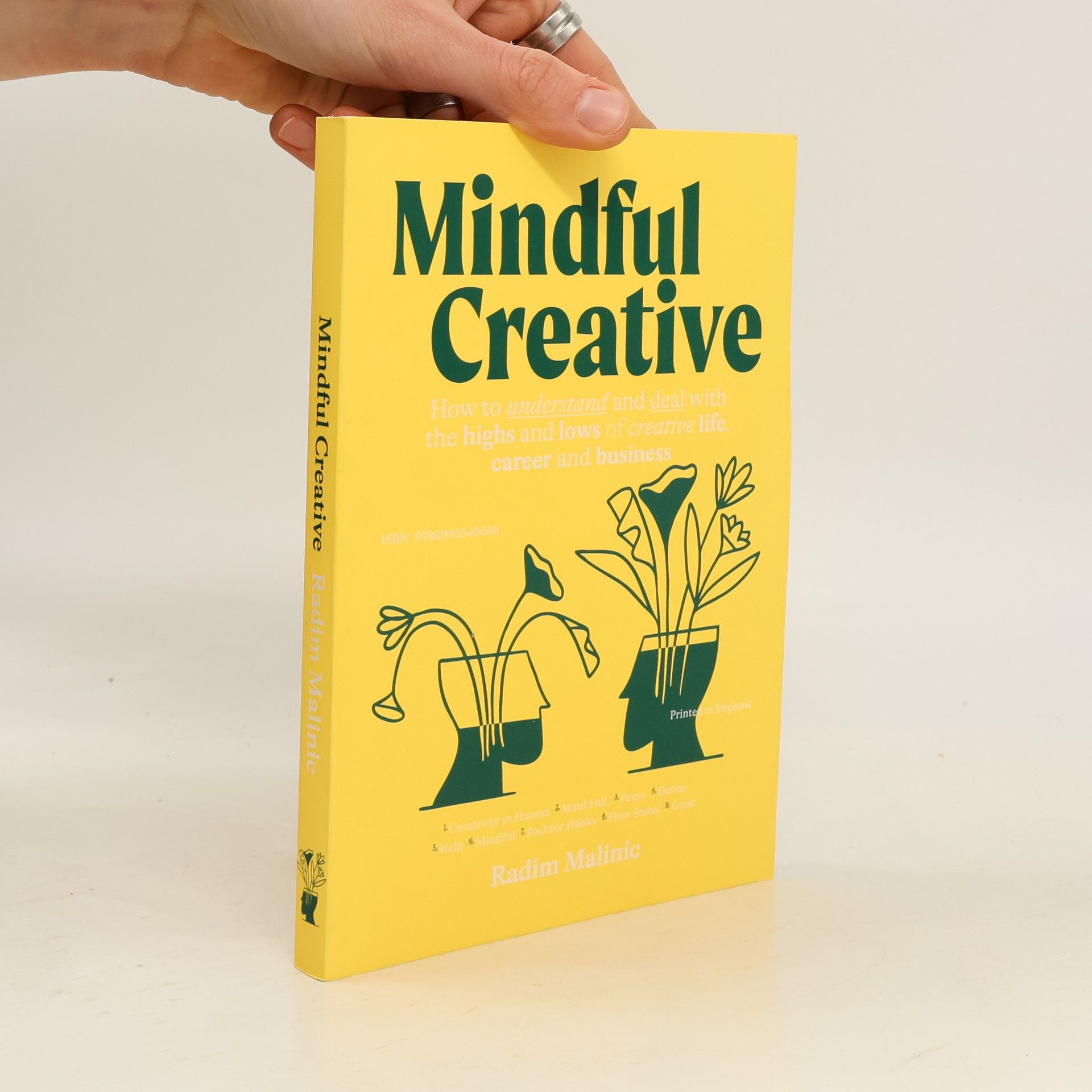 Radim Malinic Mindful Creative