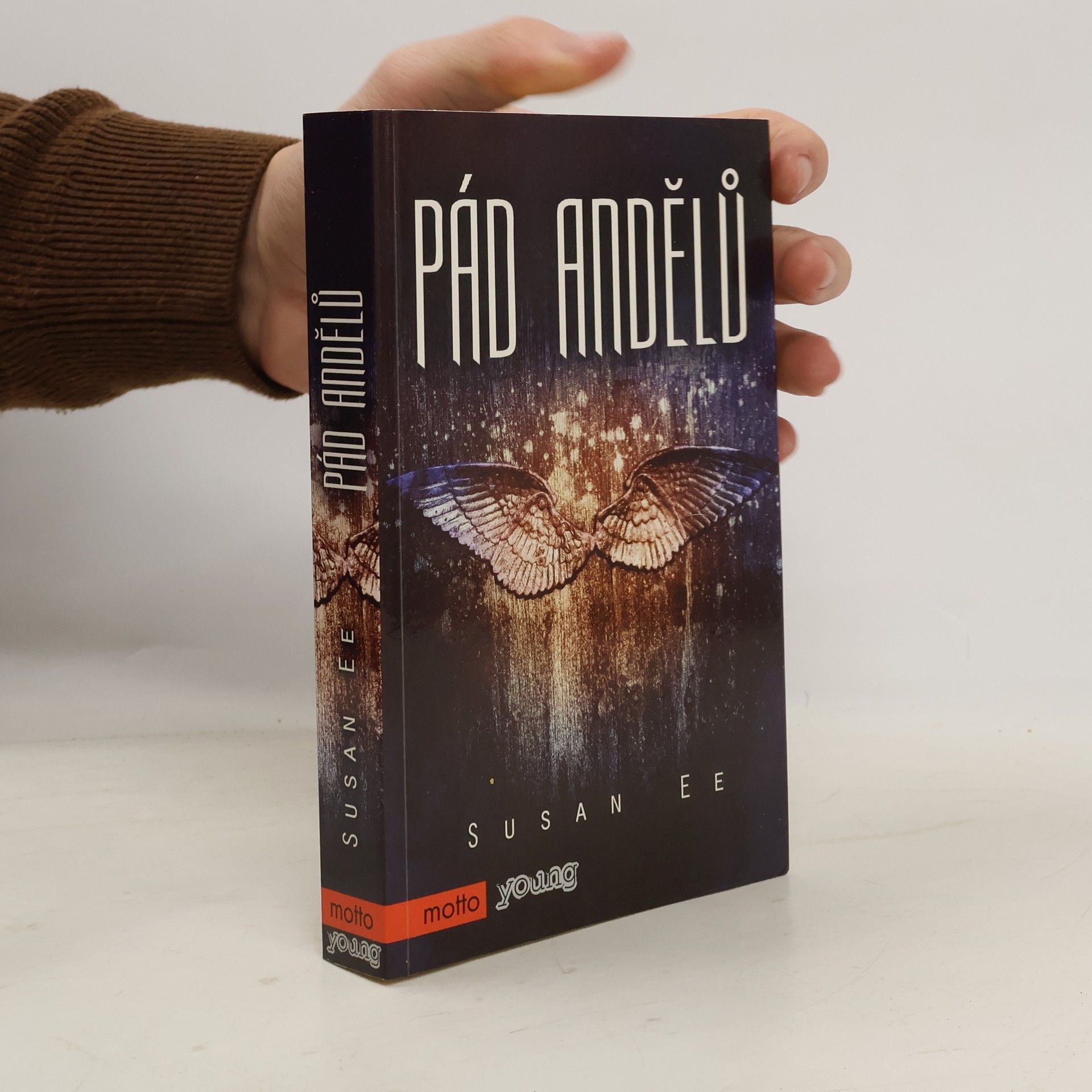 Susan Ee Pád andělů