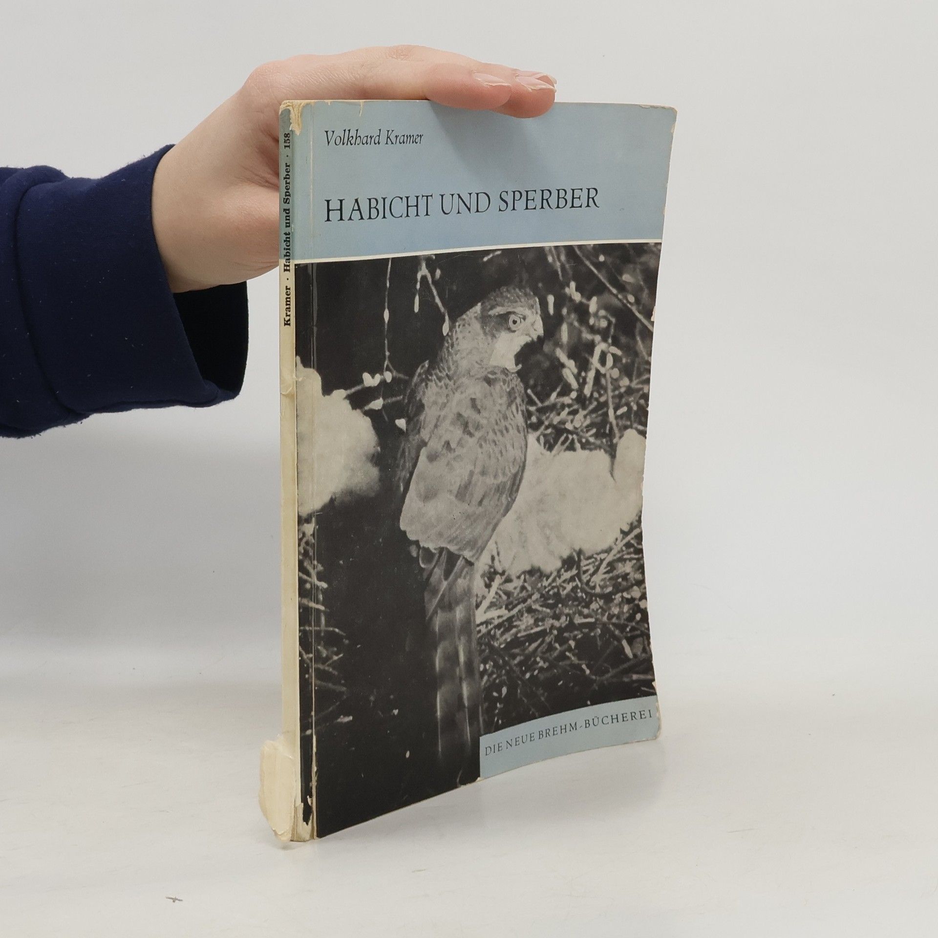 Volkhard Kramer Habicht und Sperber