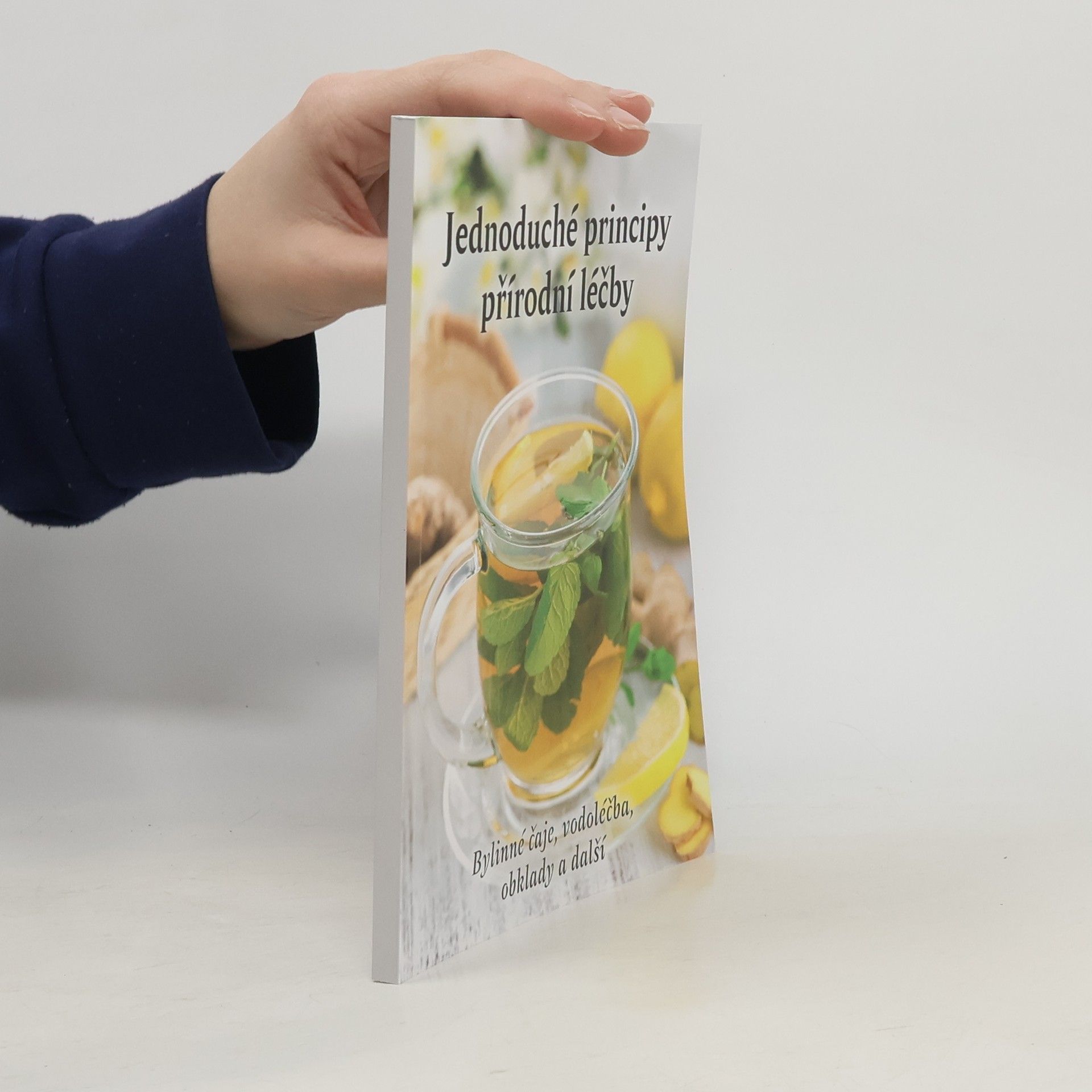 Kolektiv autorů Jednoduché principy přírodní léčby