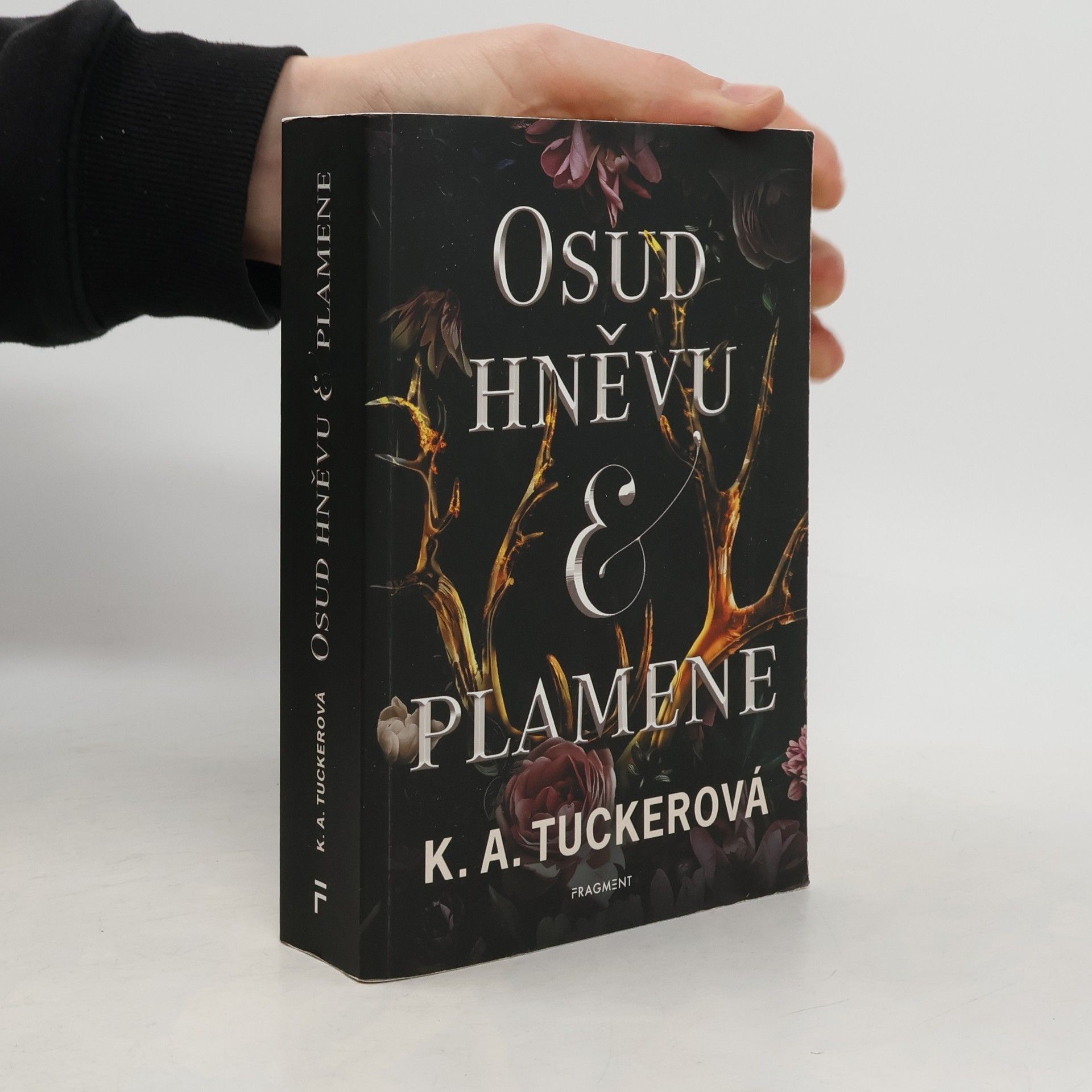 K.A. Tucker Osud hněvu & plamene