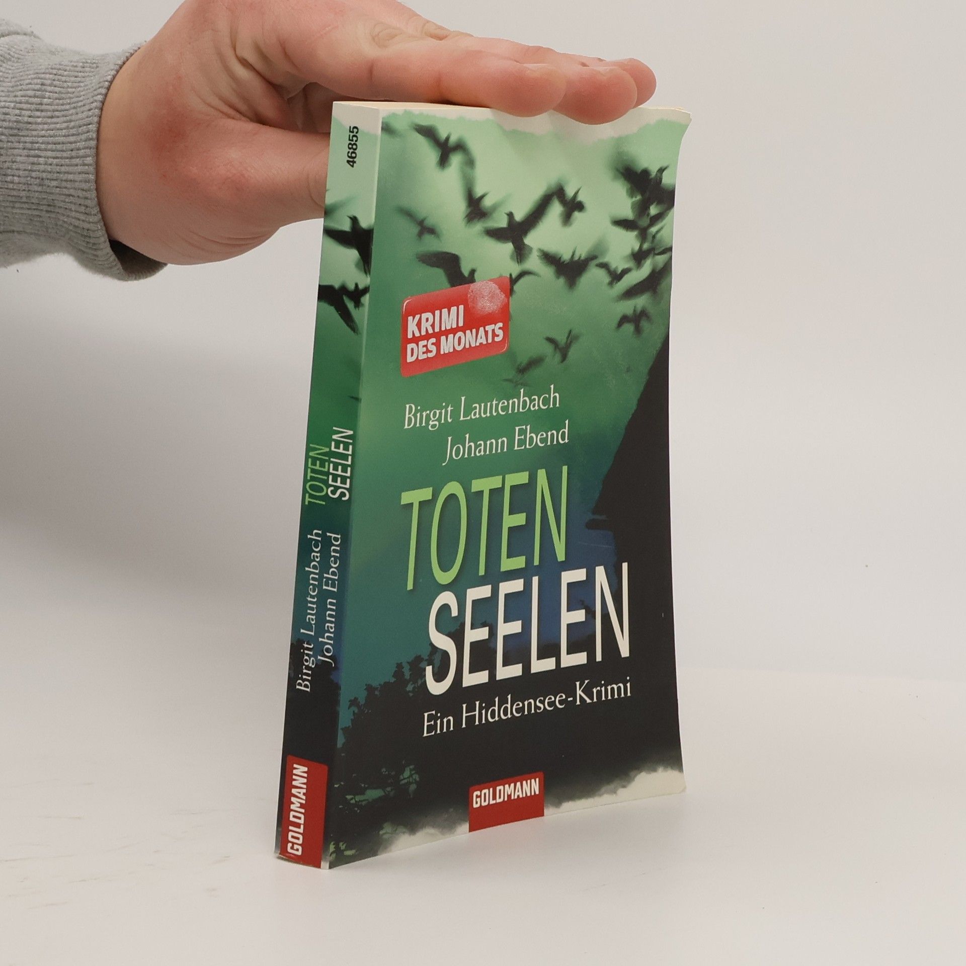 Brigit Lautenbach Toten Seelen