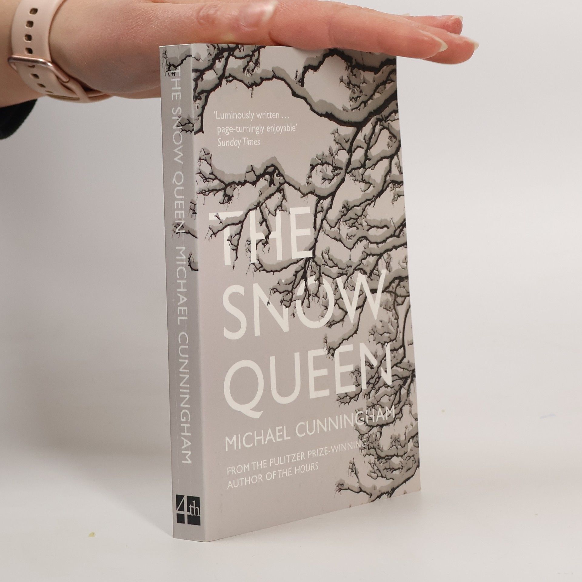 Michael Cunningham The Snow Queen