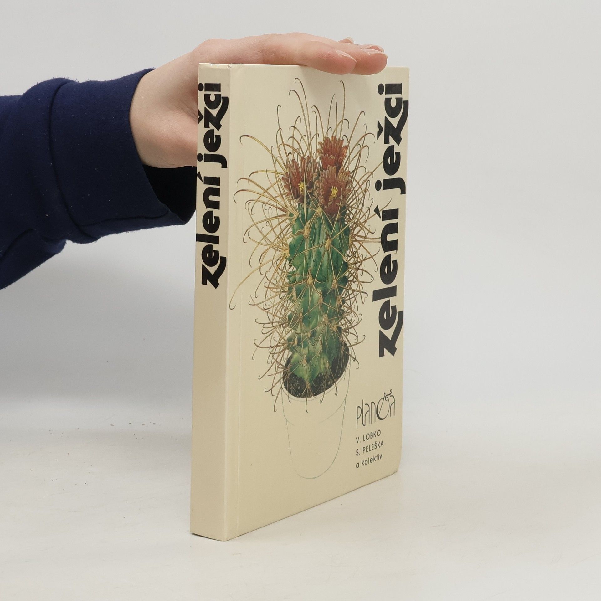 Valerij Dmitrijevič Lobko Zelení ježci