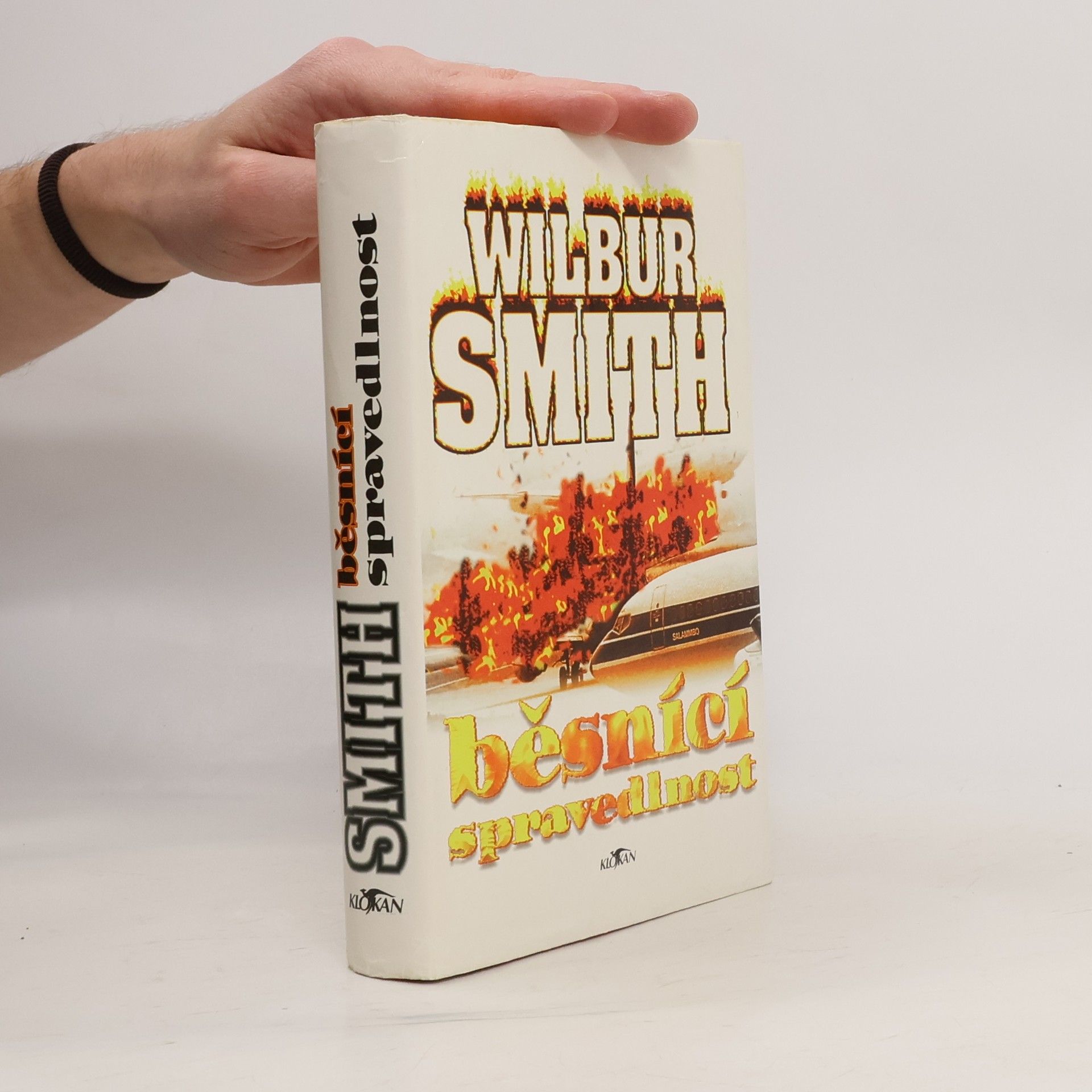 Wilbur Smith Běsnící spravedlnost