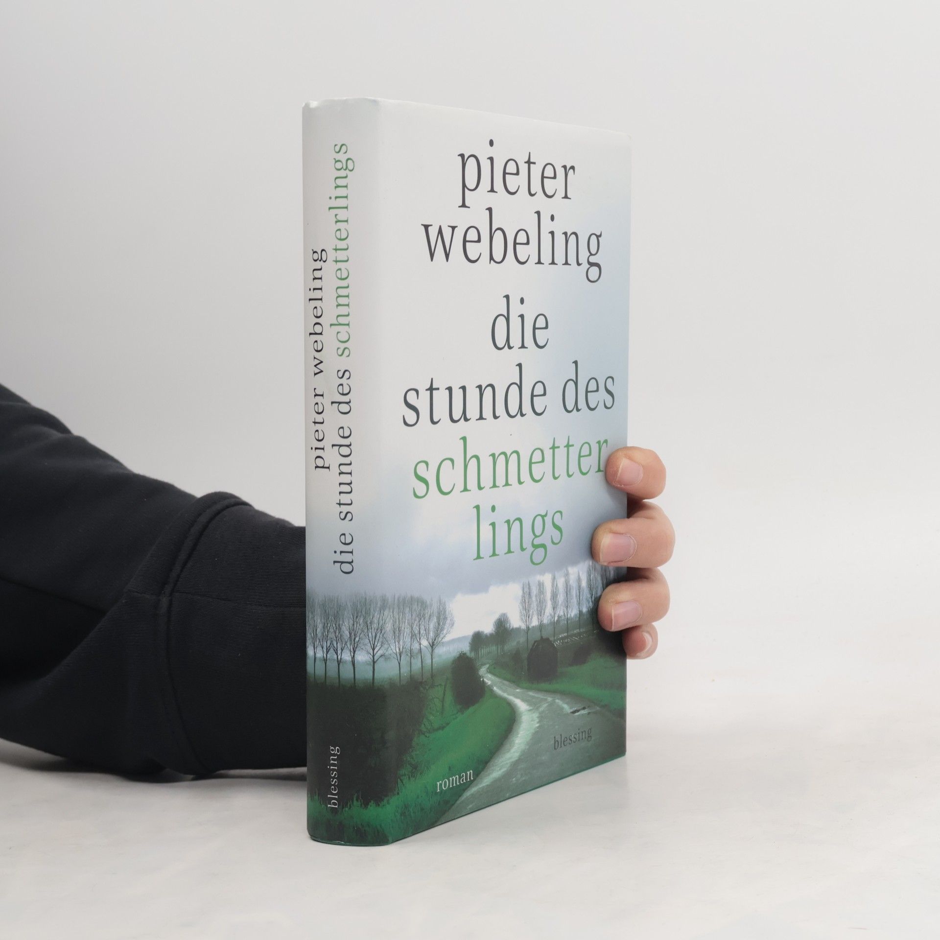 Pieter Webeling Die Stunde des Schmetterlings