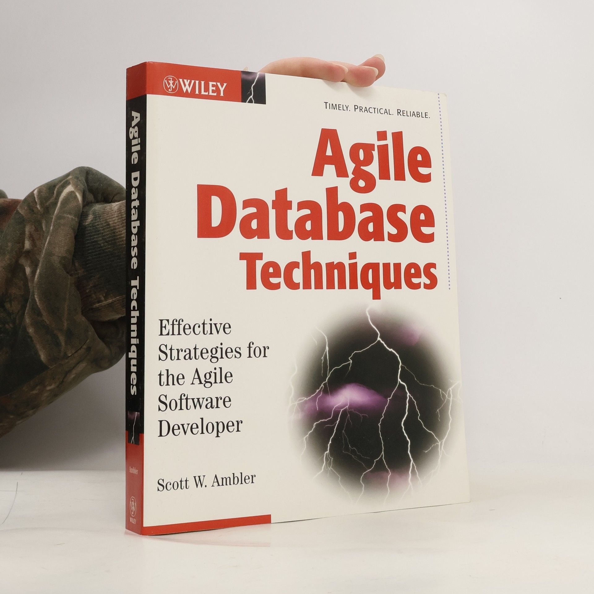 Scott W. Ambler Agile databases techniques: Effective strategies for the agile software developer