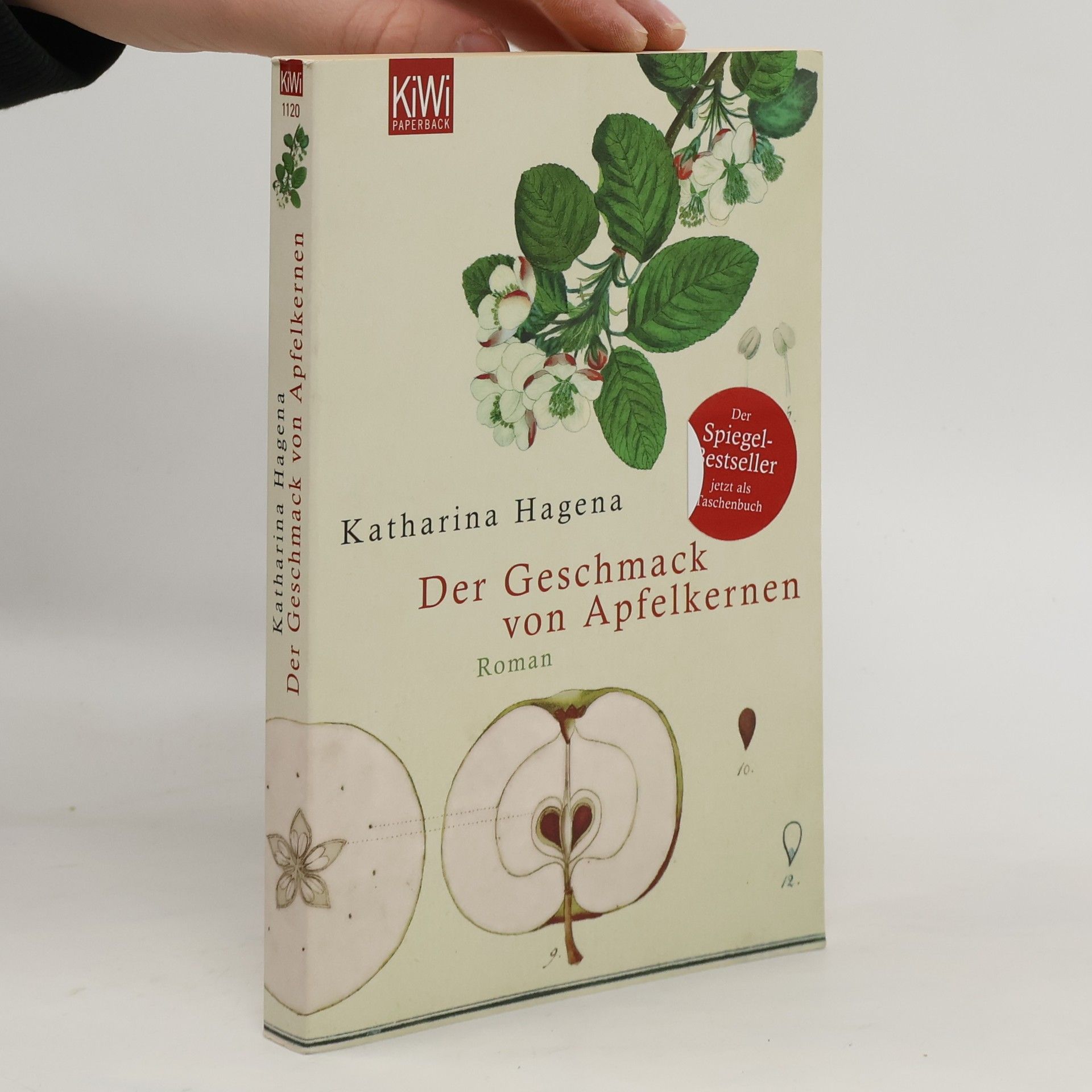 Katharina Hagena Der Geschmack von Apfelkernen