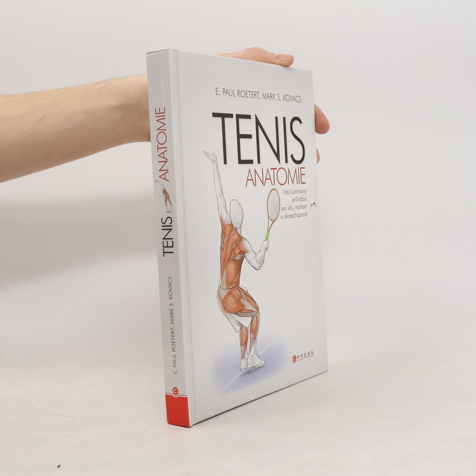 Paul Roetert Tenis: Anatomie