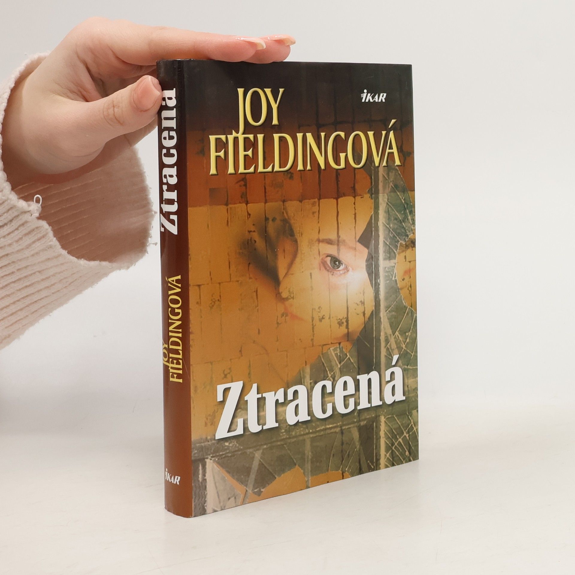 Joy Fielding Ztracená