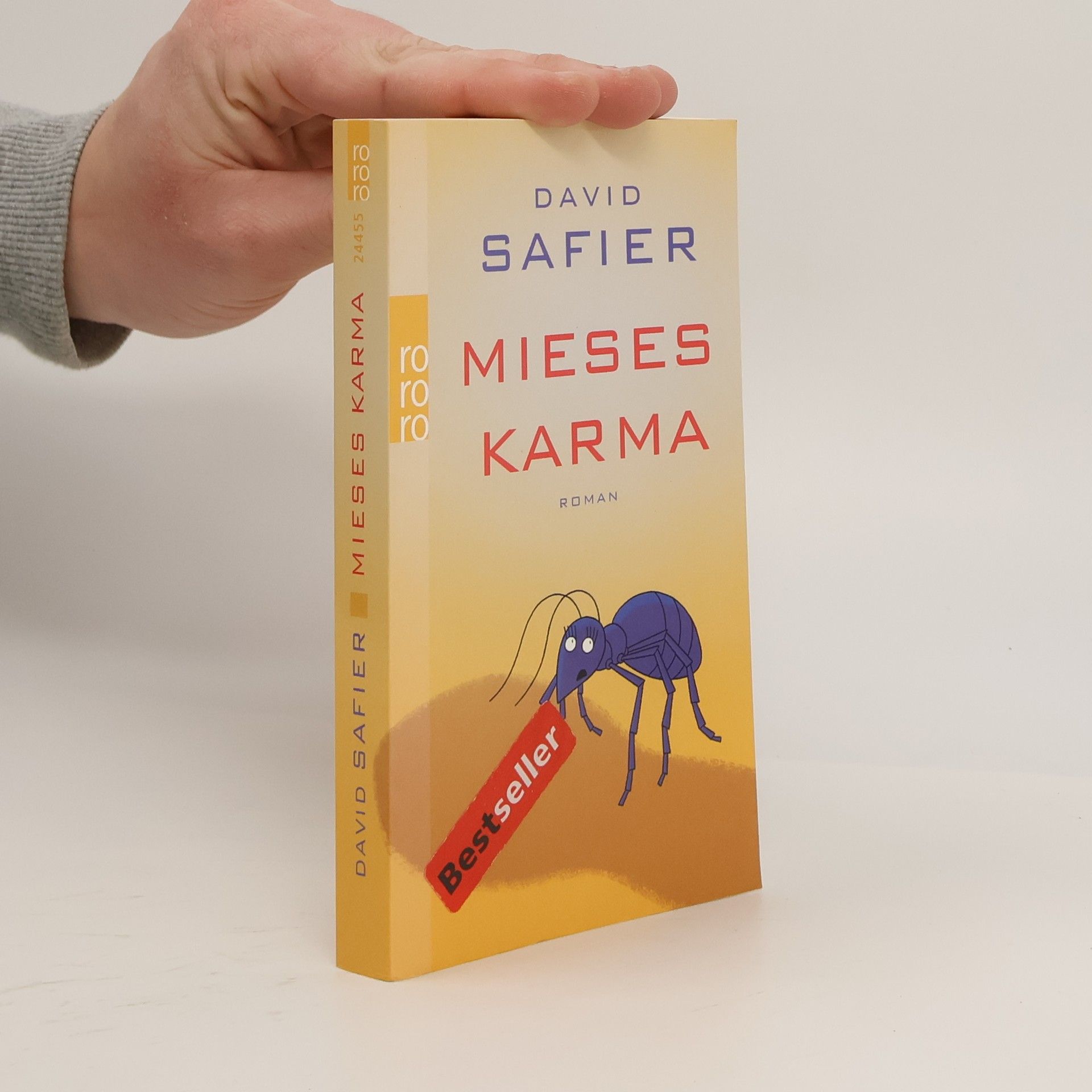 David Safier Mieses Karma