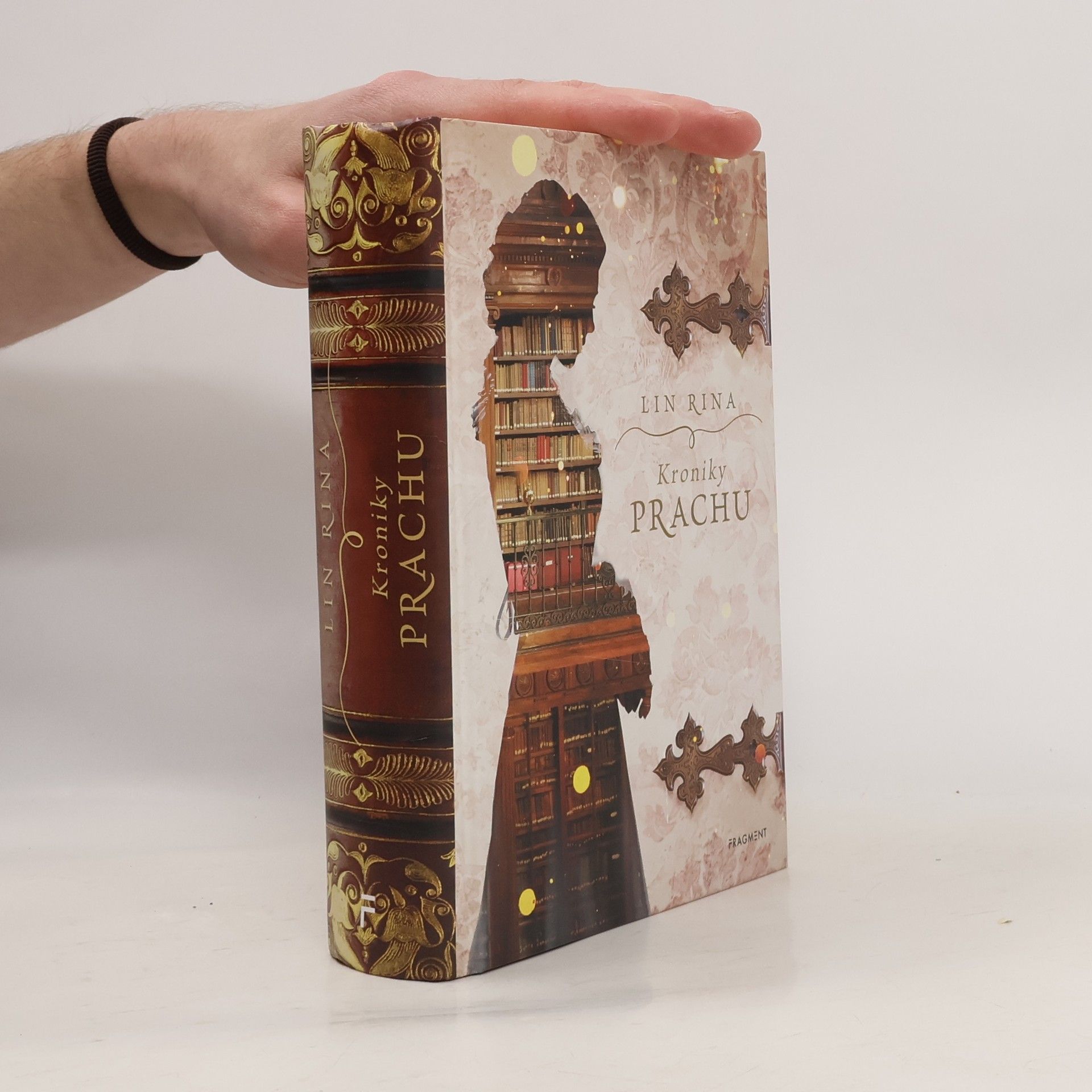 Lin Rina Kroniky prachu