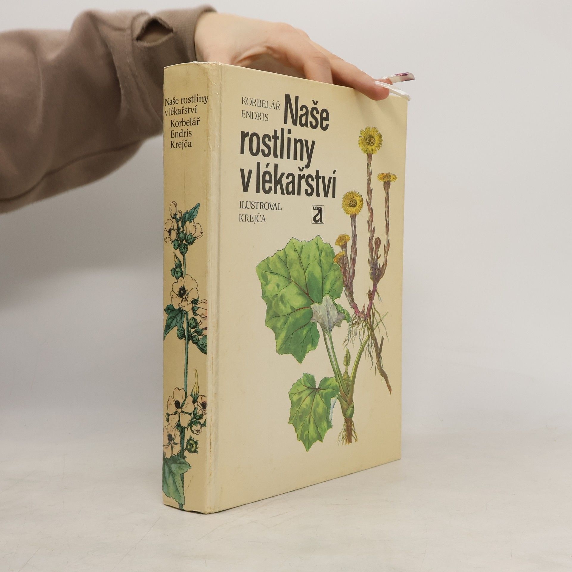 Naše rostliny v lékařství