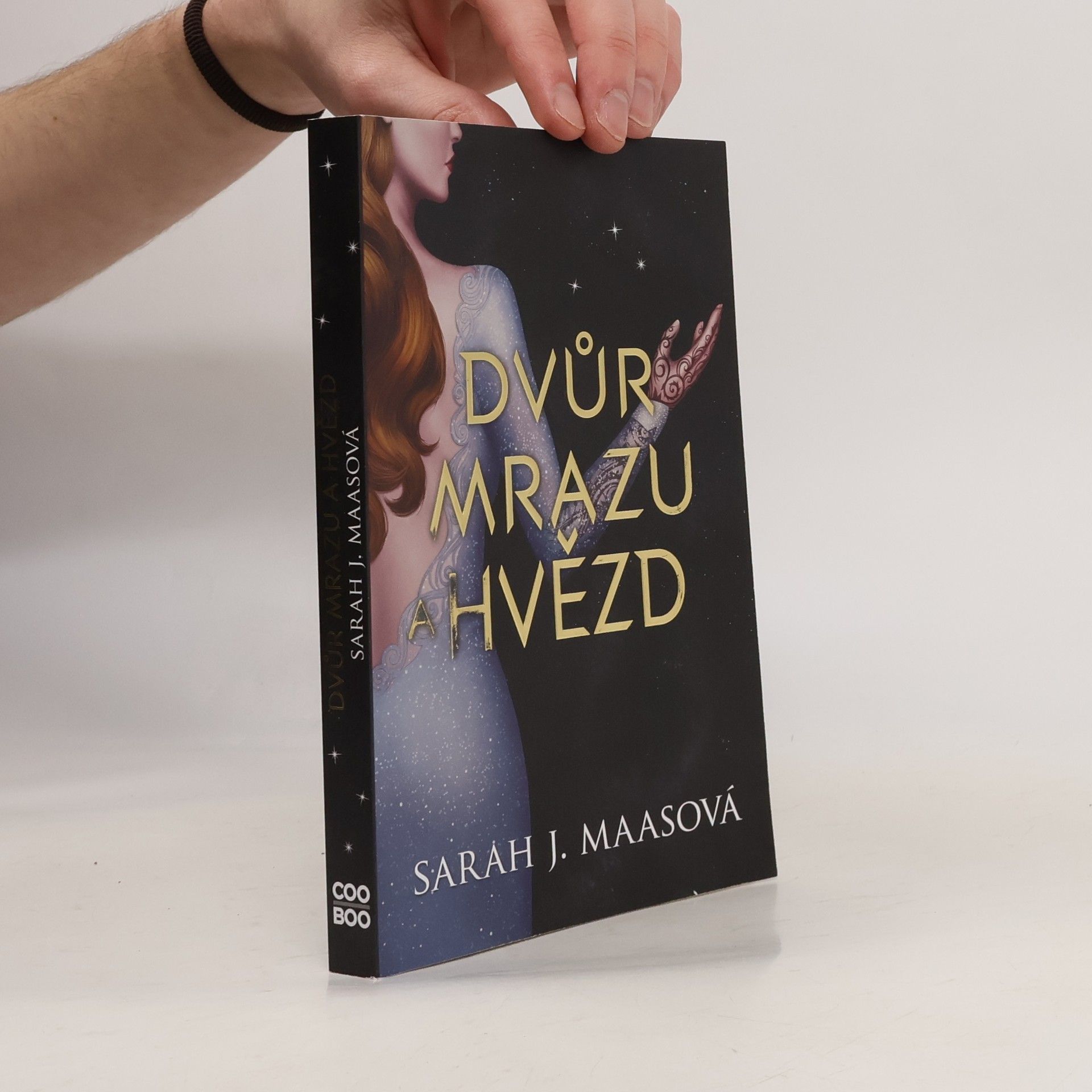 Sarah J. Maas Dvůr mrazu a hvězd