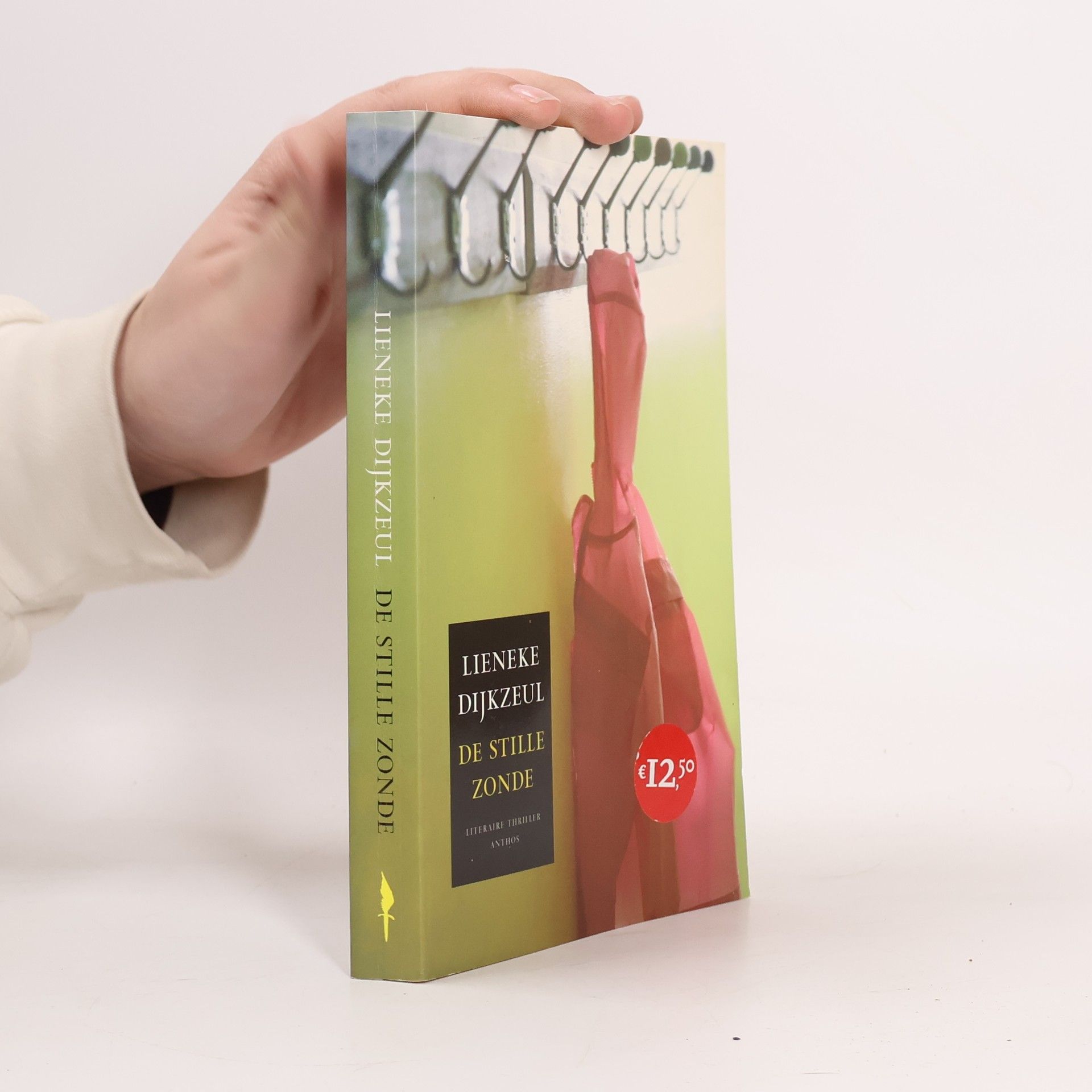 Lieneke Dijkzeul De stille zonde / druk 12