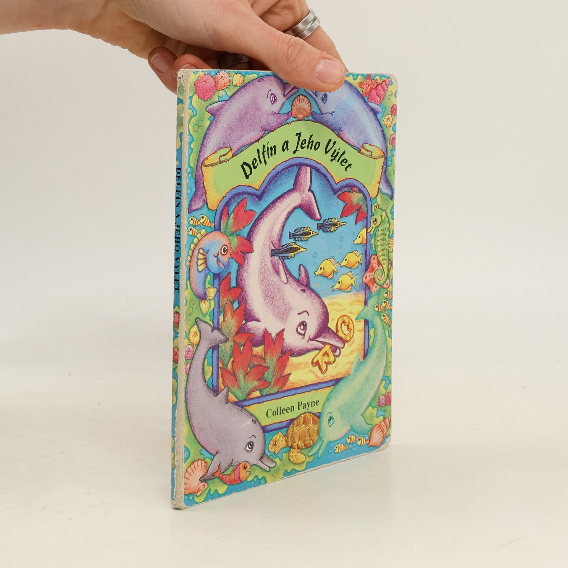 Der Delphintagesausflug