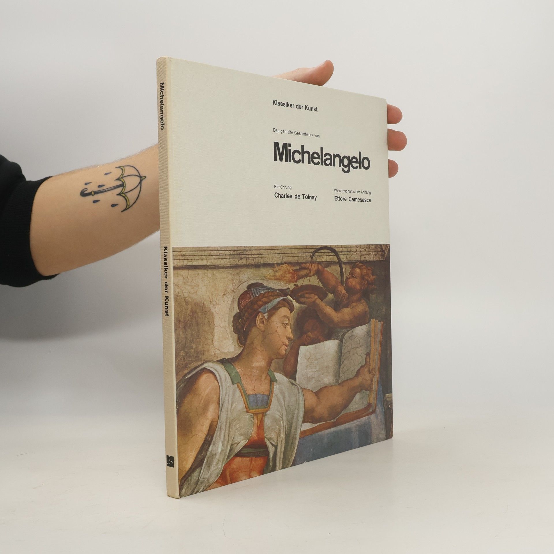 Charles De Tolnay Klassiker der Kunst. Das gemalte Gesamtwerk von Michelangelo