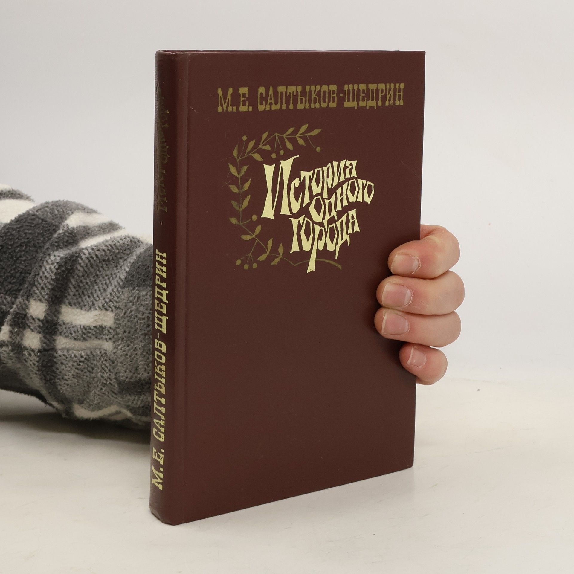 Mikhail Saltykov-Shchedrin История одного города