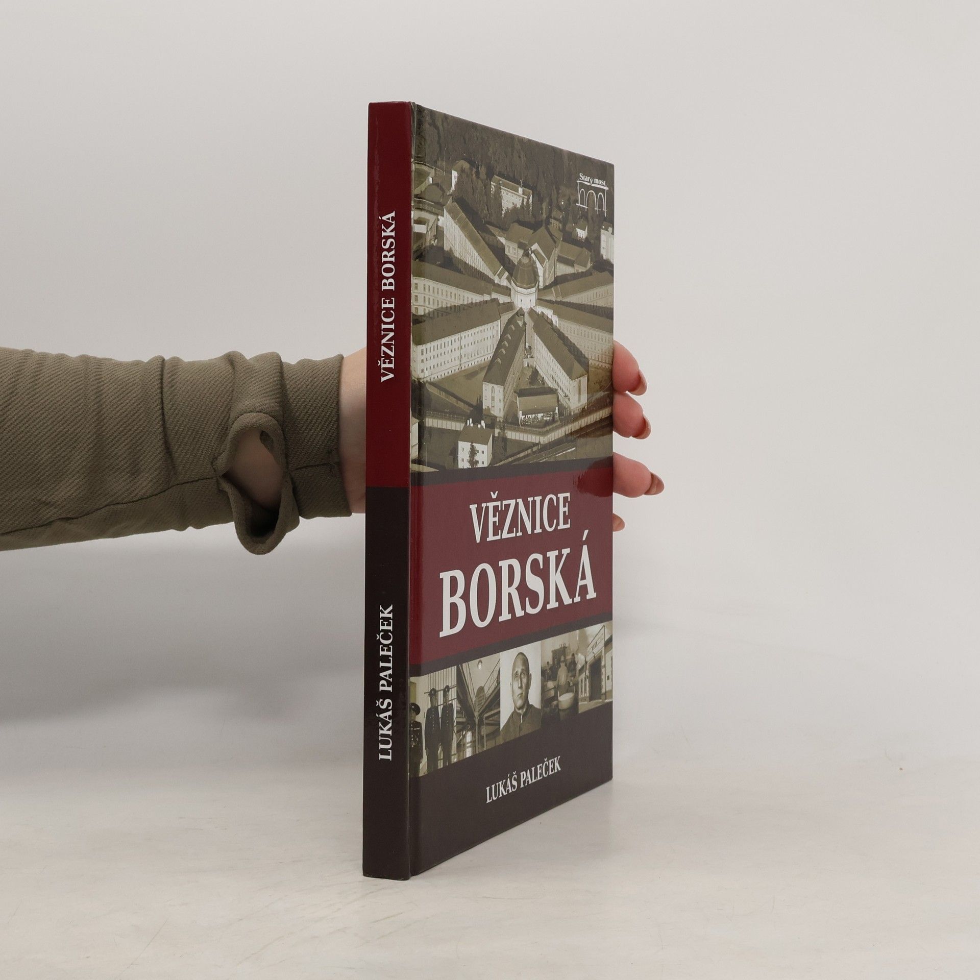 Lukáš Paleček Věznice borská