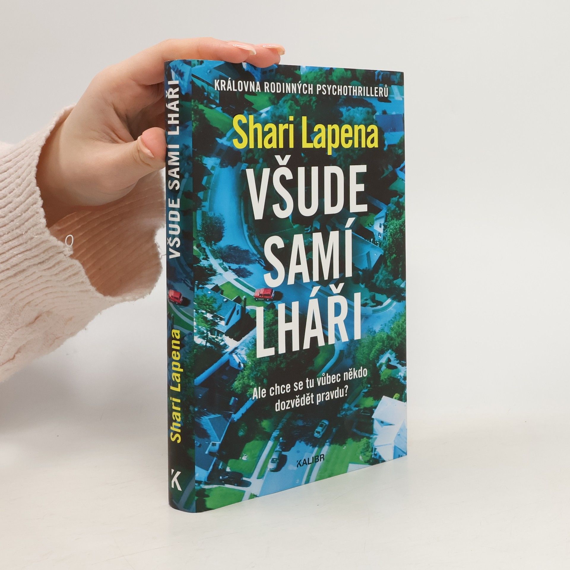 Shari Lapena Všude samí lháři