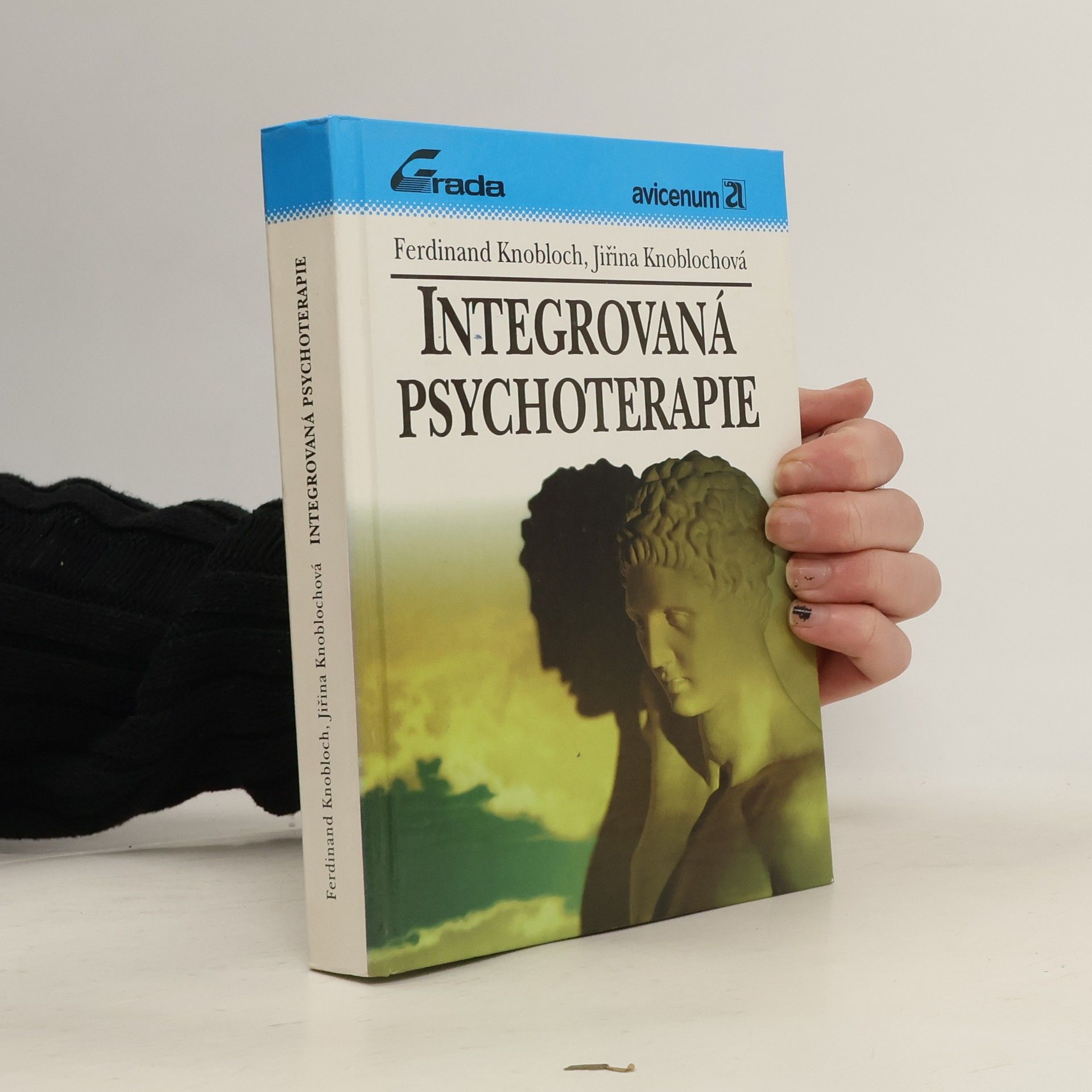 Integrovaná psychoterapie