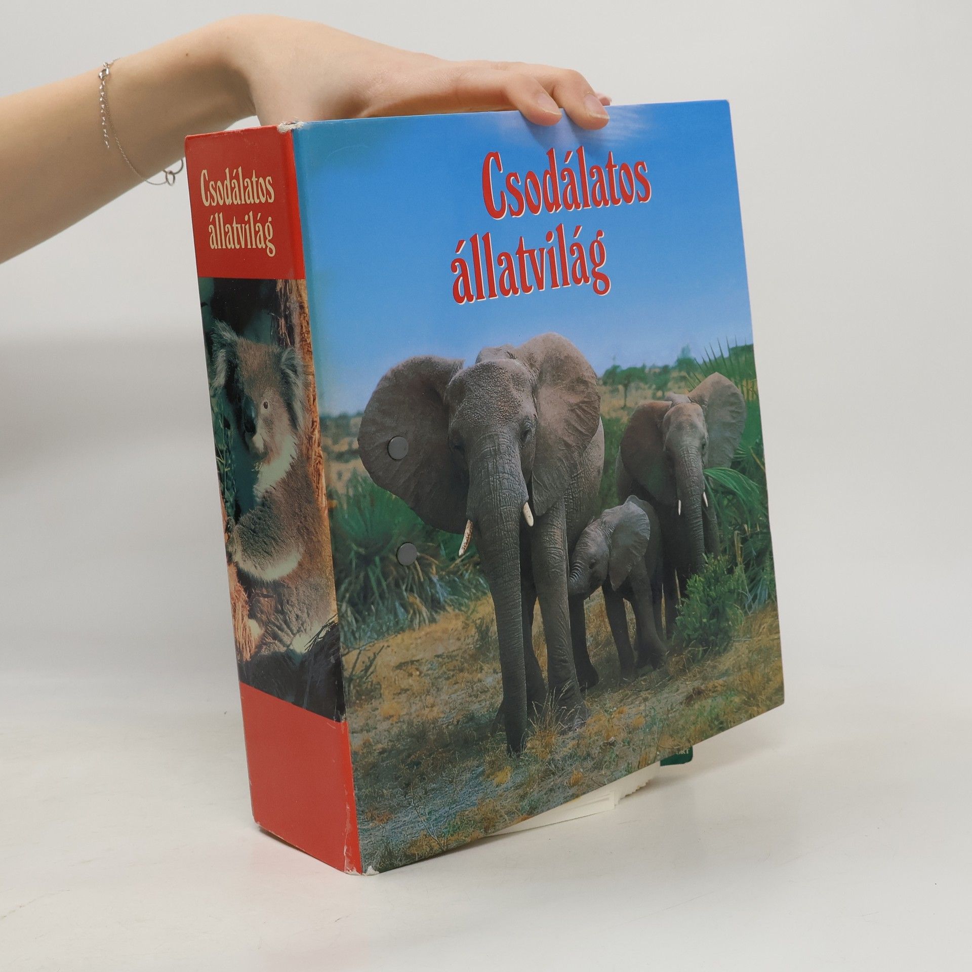 Collectif d'auteurs Csodálatos Állatvilág