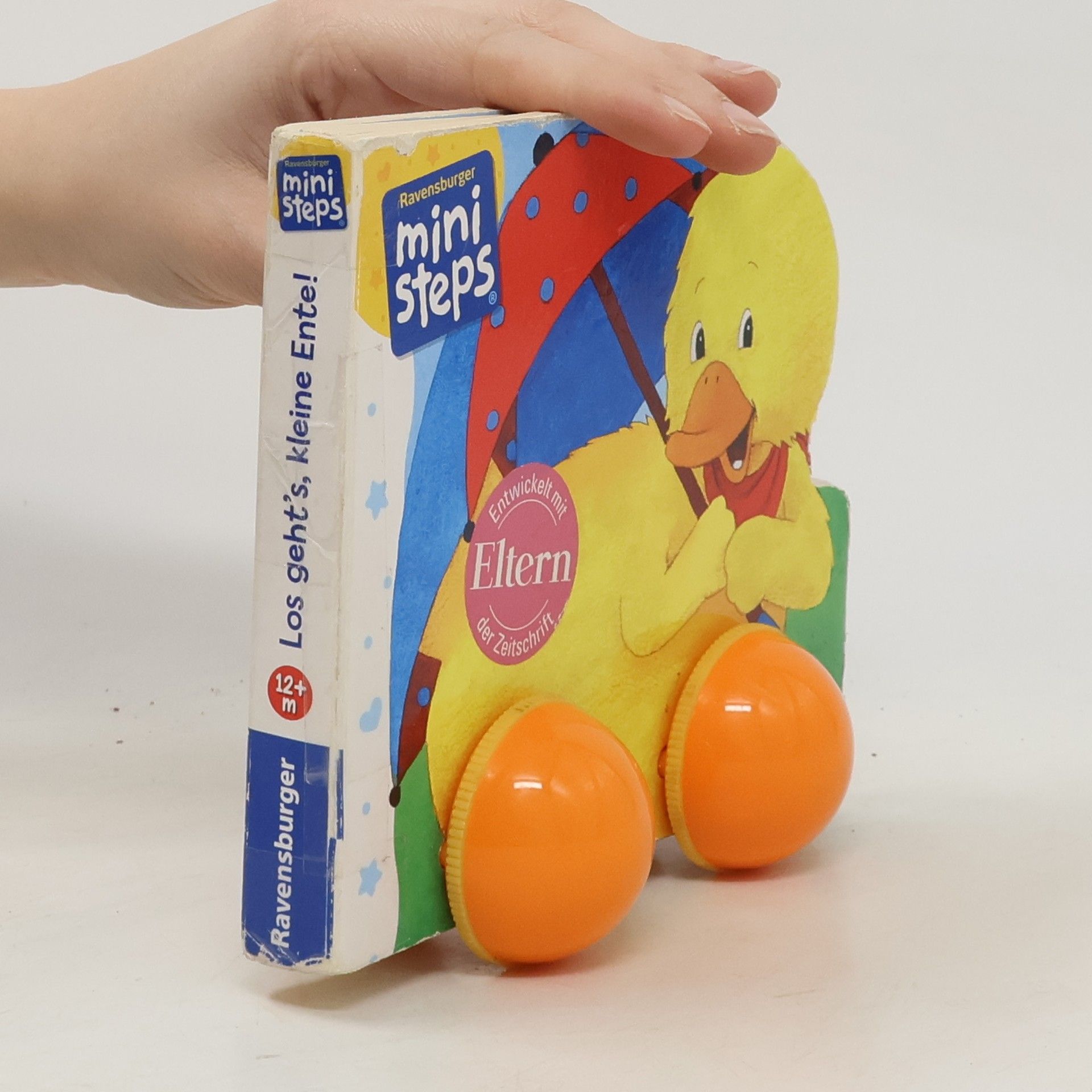 Sandra Grimm Los geht's, kleine Ente!