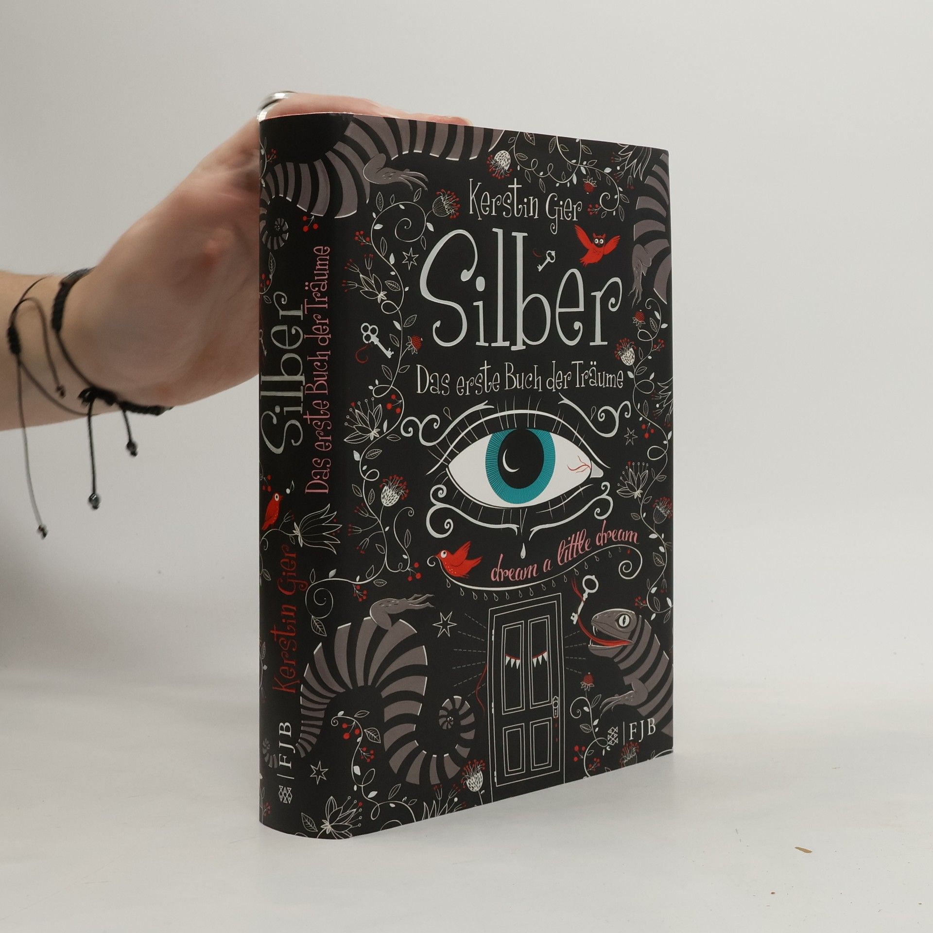 Silber. Das erste Buch der Träume