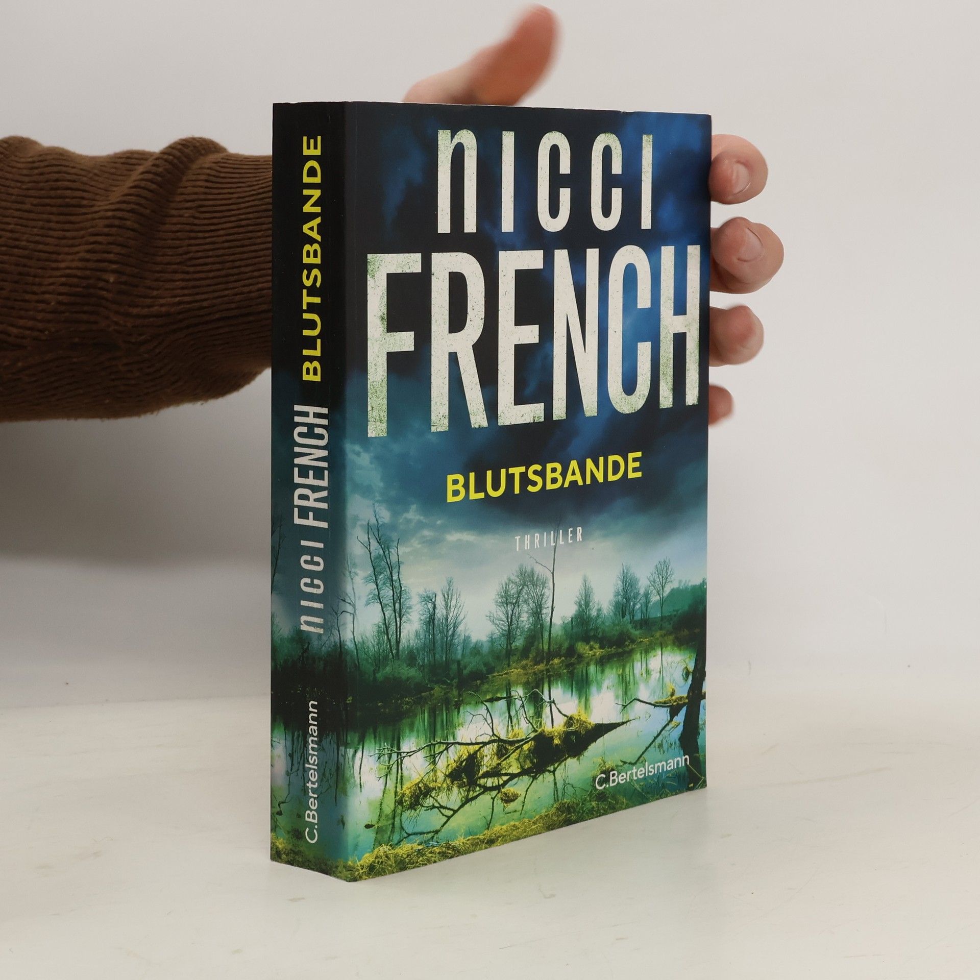 Nicci French Blutsbande