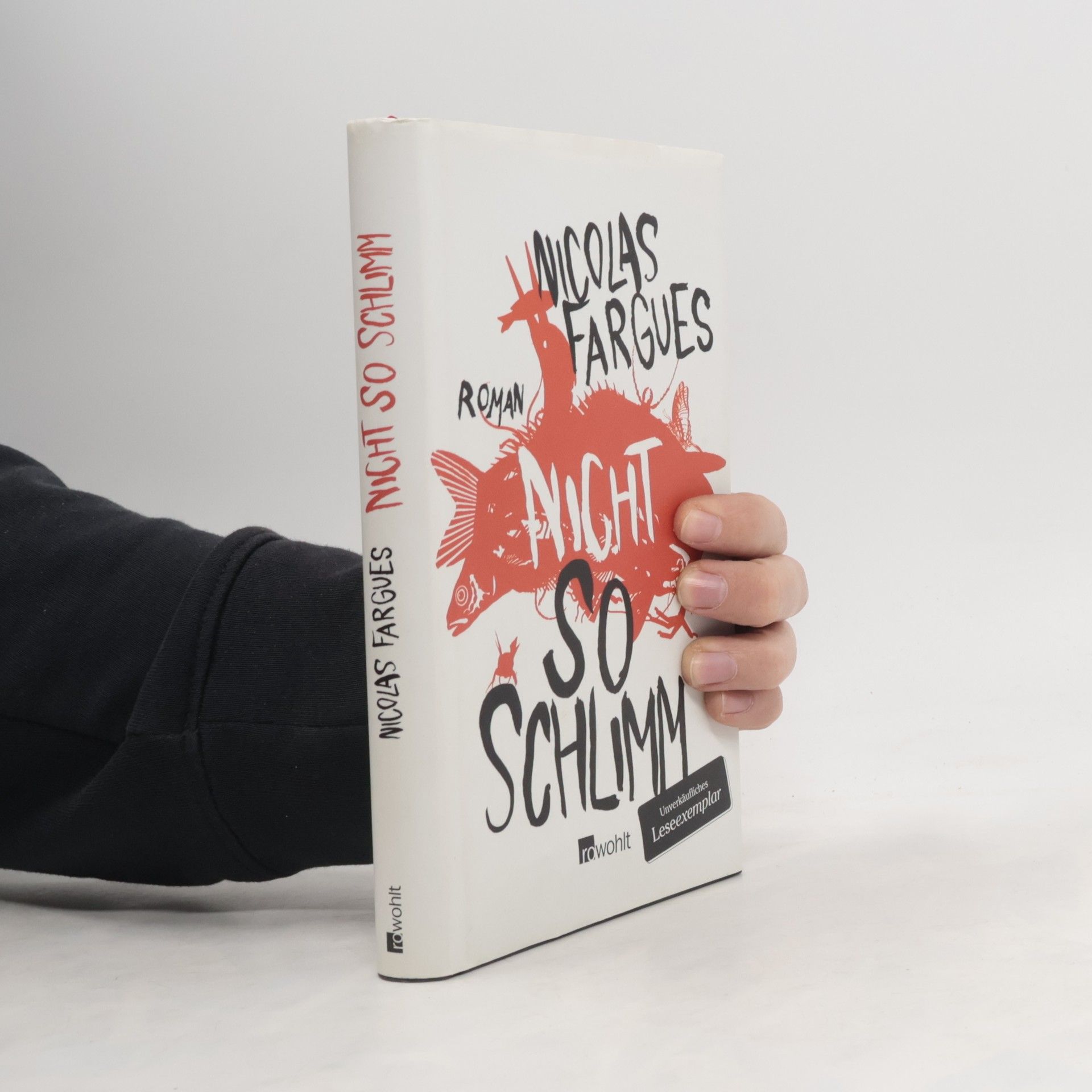 Nicolas Fargues Nicht so schlimm