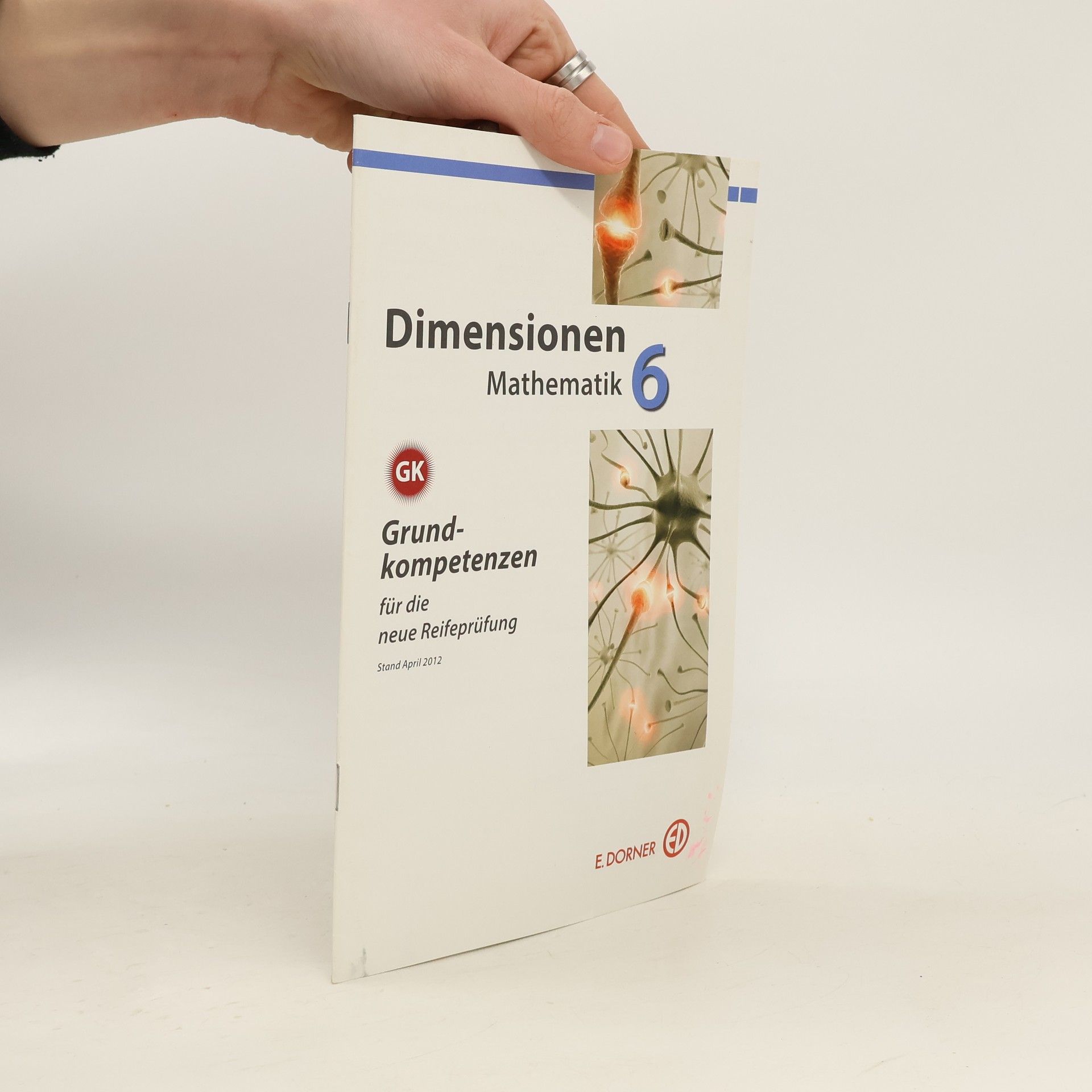 Auteurscollectief Dimension Mathematik 6