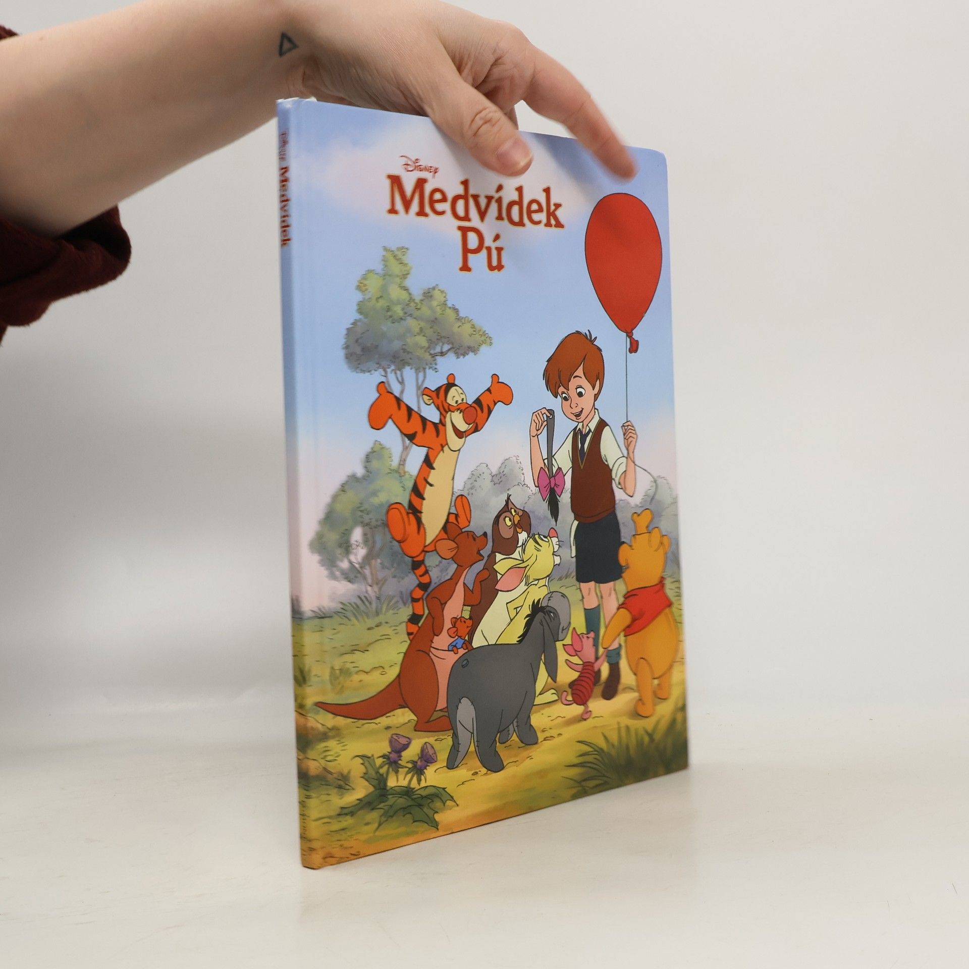 Auteurscollectief Medvídek Pú